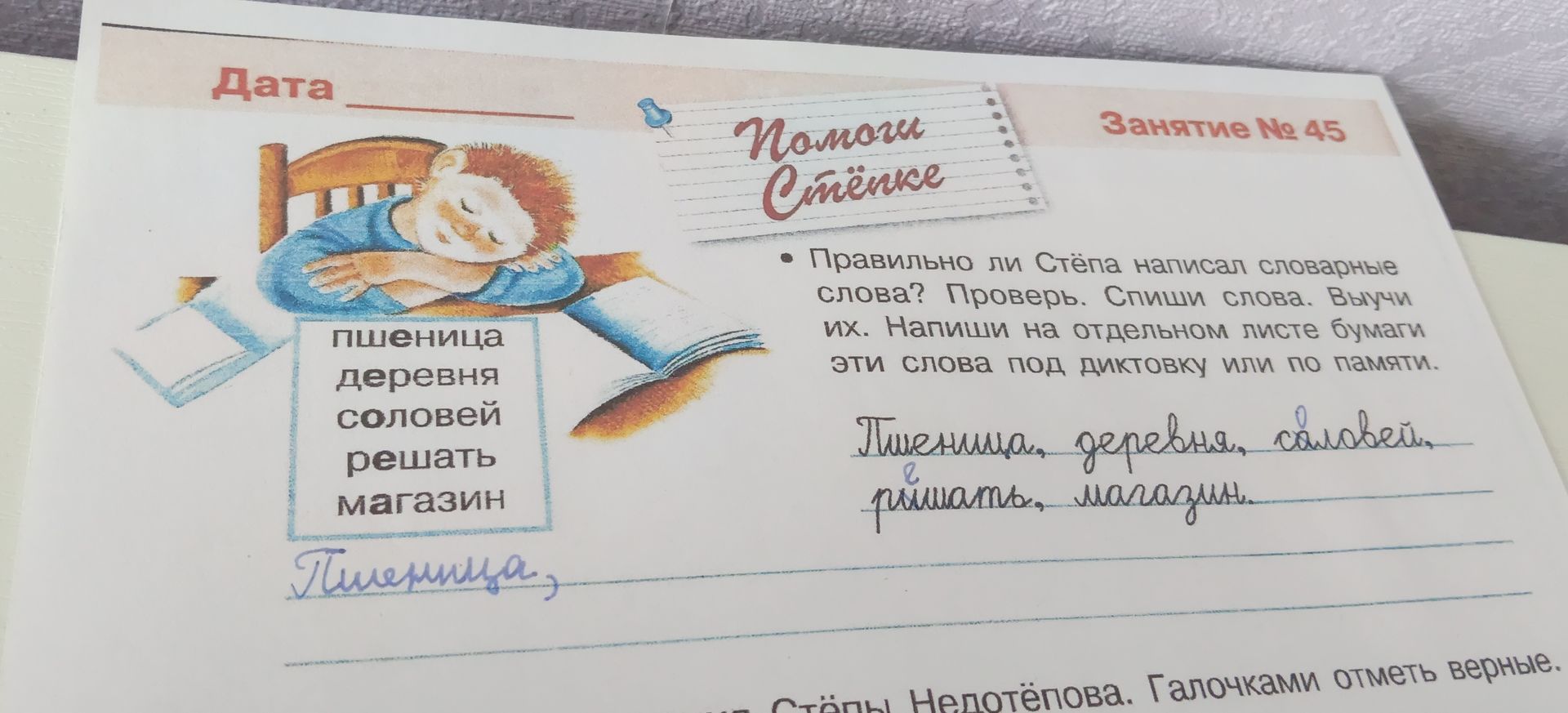 Фото задания: Правильно ли Стёпа написал словарные слова? Проверь. Спиши слова. Выучи их. Напиши на отдельном листе бумаги эти слова под…