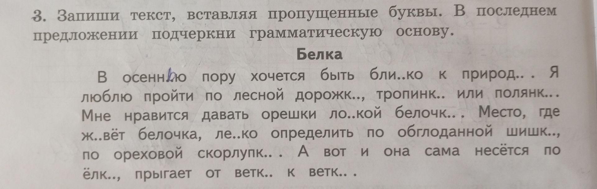Фото задания: 3. Запиши текст, вставляя пропущенные буквы. В последнем предложении подчеркни грамматическую основу. Белка В осеннюю пору…