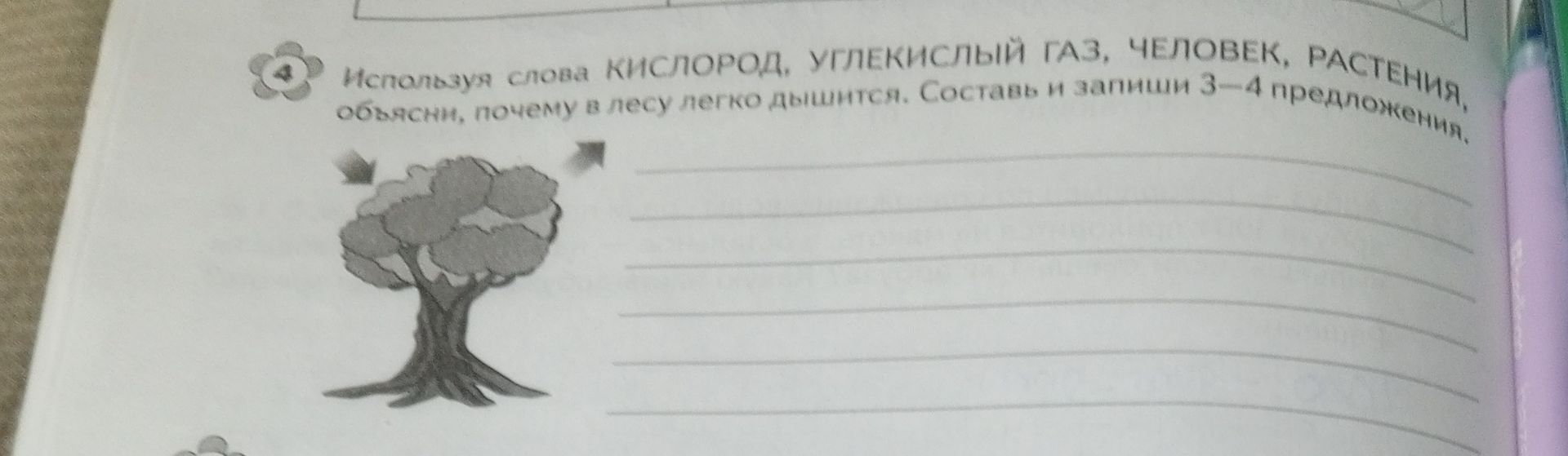 Фото задания: Используя слова КИСЛОРОД, УГЛЕКИСЛЫЙ ГАЗ, ЧЕЛОВЕК, РАСТЕНИЯ, объясни, почему в лесу легко дышится. Составь и запиши 3-4…