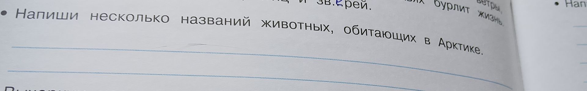 Фото задания: Напиши несколько названий животных, обитающих в Арктике.