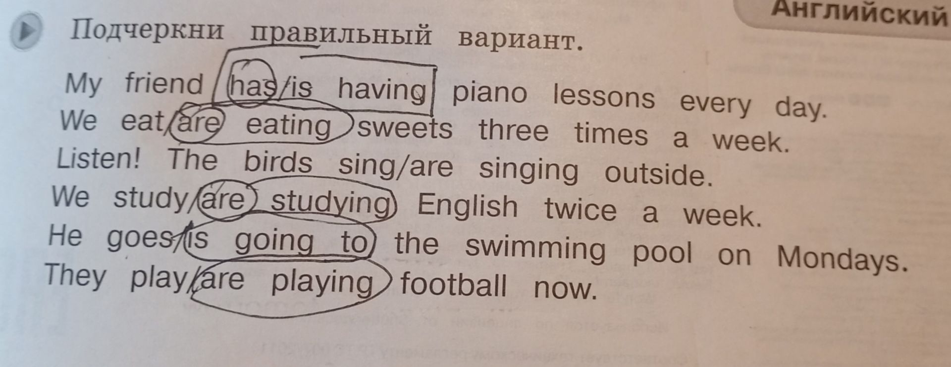 Фото задания: We study are studying English twice a week.