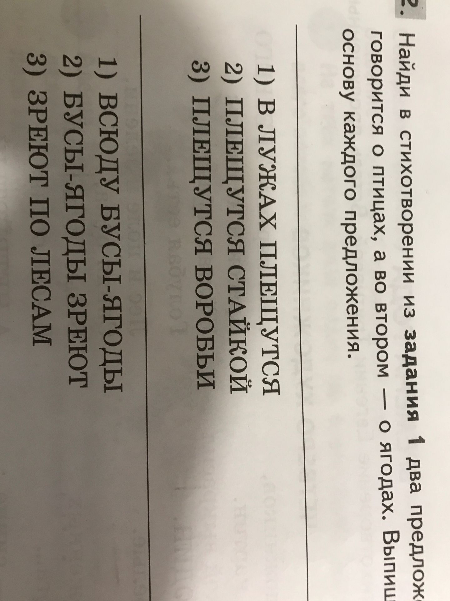 Фото задания: Найди в стихотворении из задания 1 два предложения, где говорится о птицах, а во втором предложении укажи основу каждого…