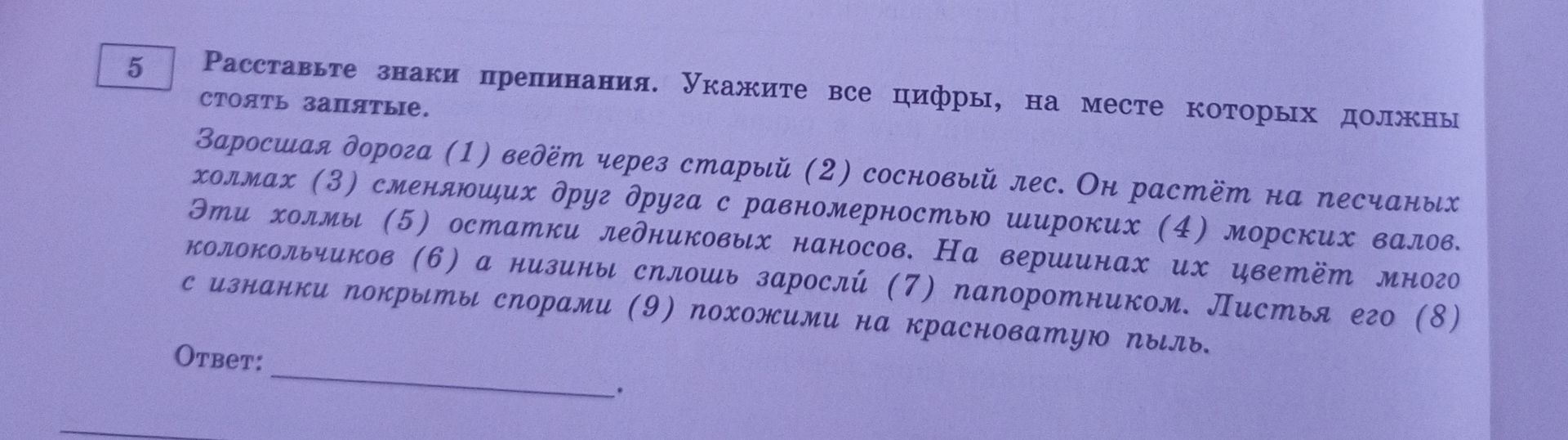Фото задания: Расставьте знаки препинания. Укажите все цифры, на месте которых должны стоять запятые. Заросшая дорога (1) ведёт через…