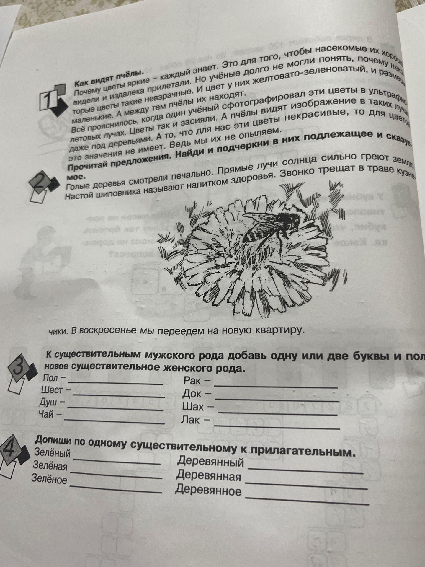 Фото задания: Допиши по одному существительному к прилагательным.