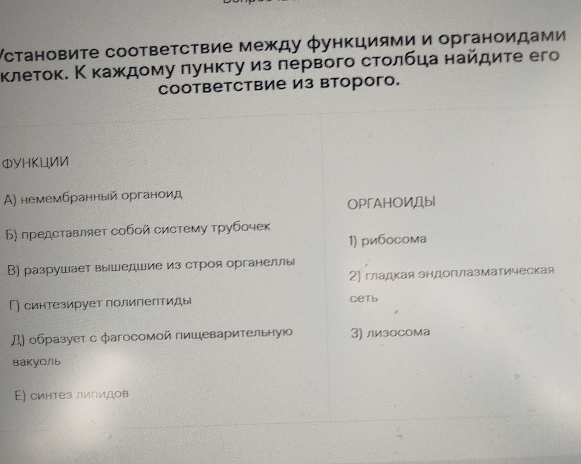 Фото задания: Установите соответствие между функциями и органоидами клеток. К каждому пункту из первого столбца найдите его соответствие из…