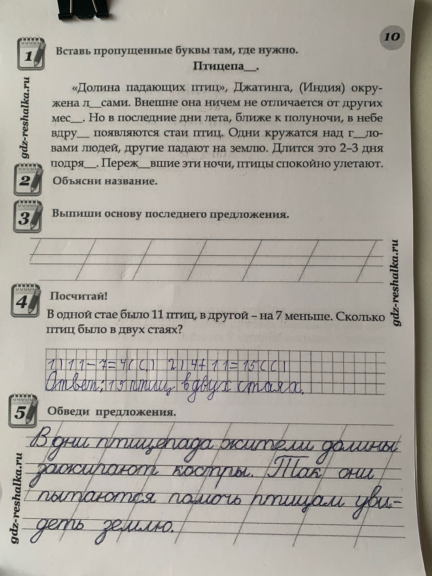 Фото задания: Выпиши основу последнего предложения.