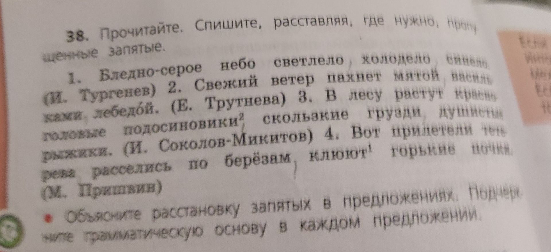 Фото задания: 38. Прочитайте. Спишите, расставляя, где нужно, пропущенные запятые. 1. Бледно-серое небо светлело, холодело, синело. (И.…