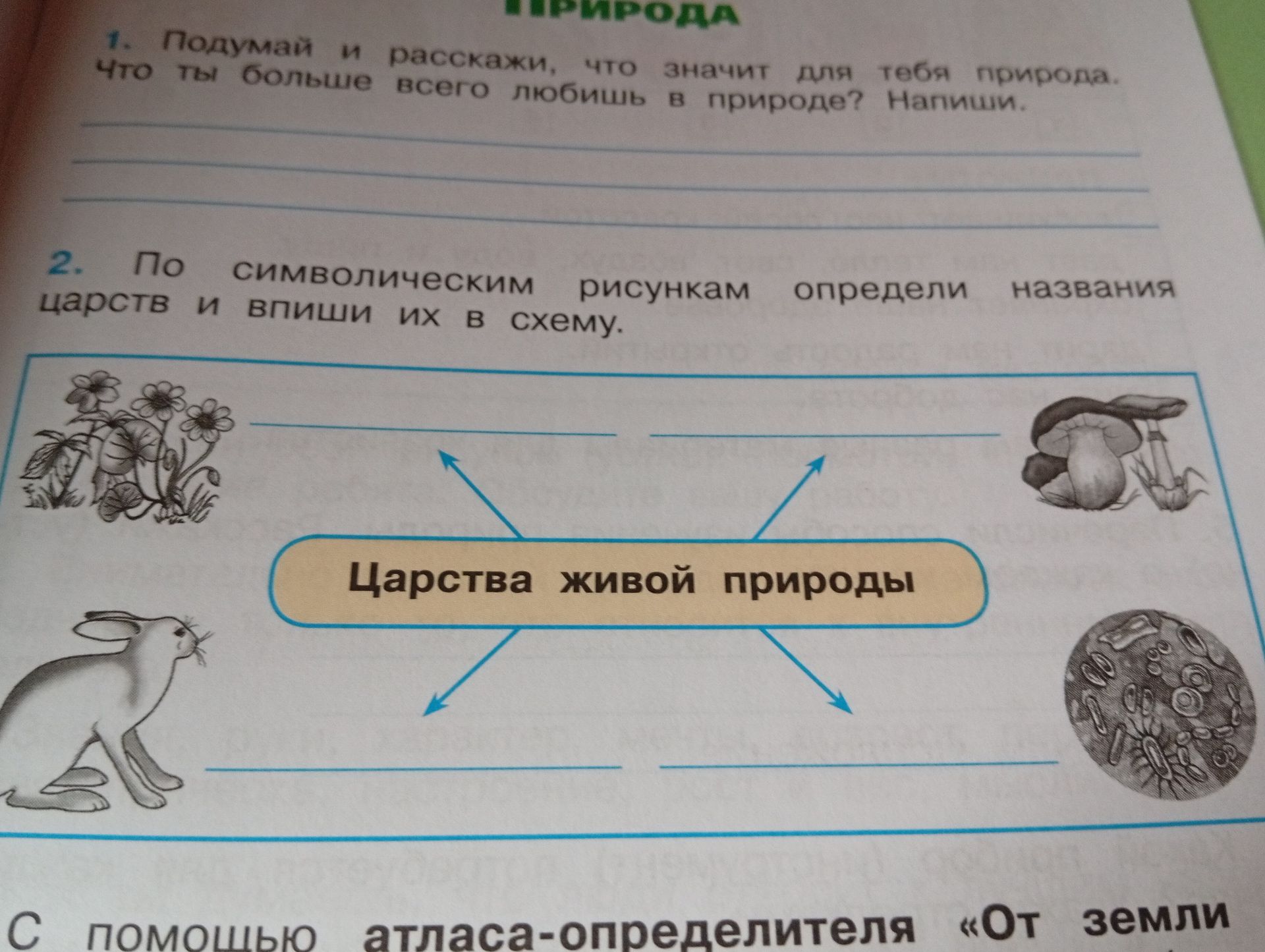 Фото задания: 2. По символическим рисункам определи названия царств и впиши их в схему.