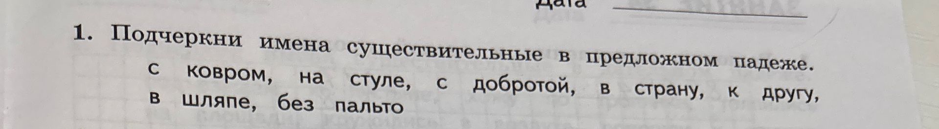 Фото задания: Подчеркни имена существительные в предложном падеже. с ковром, на стуле, с добротой, в страну, к другу, в шляпе, без пальто