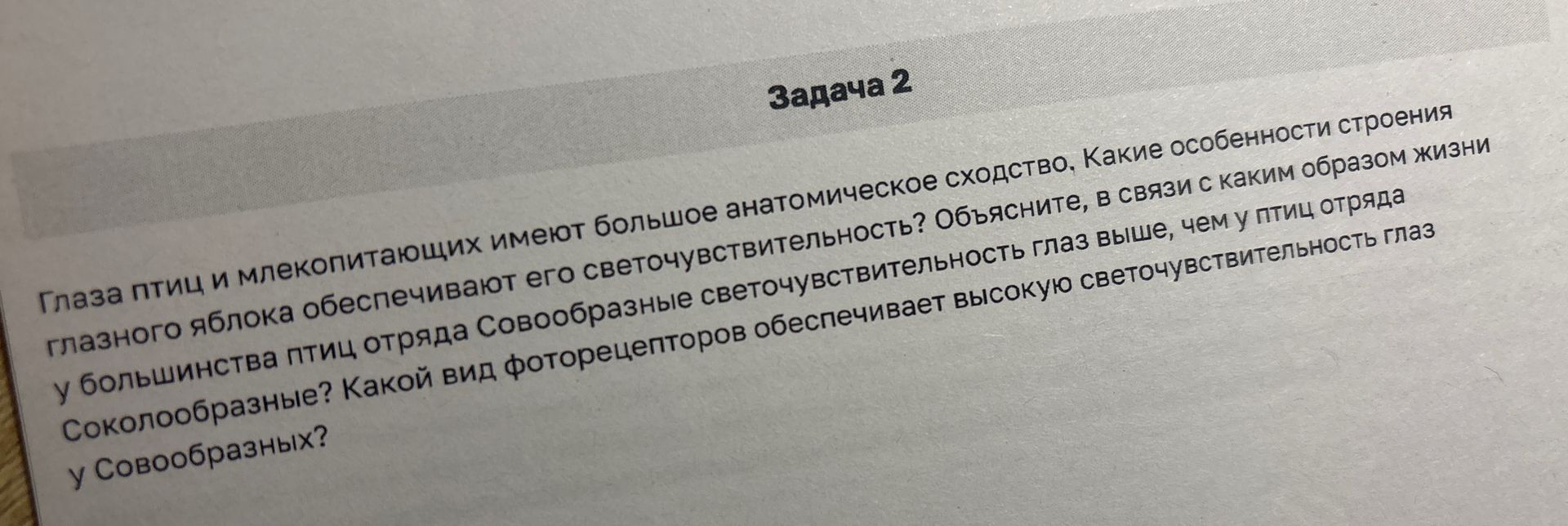 Фото задания: Глаза птиц и млекопитающих имеют большое анатомическое сходство, Какие особенности строения глазного яблока обеспечивают…