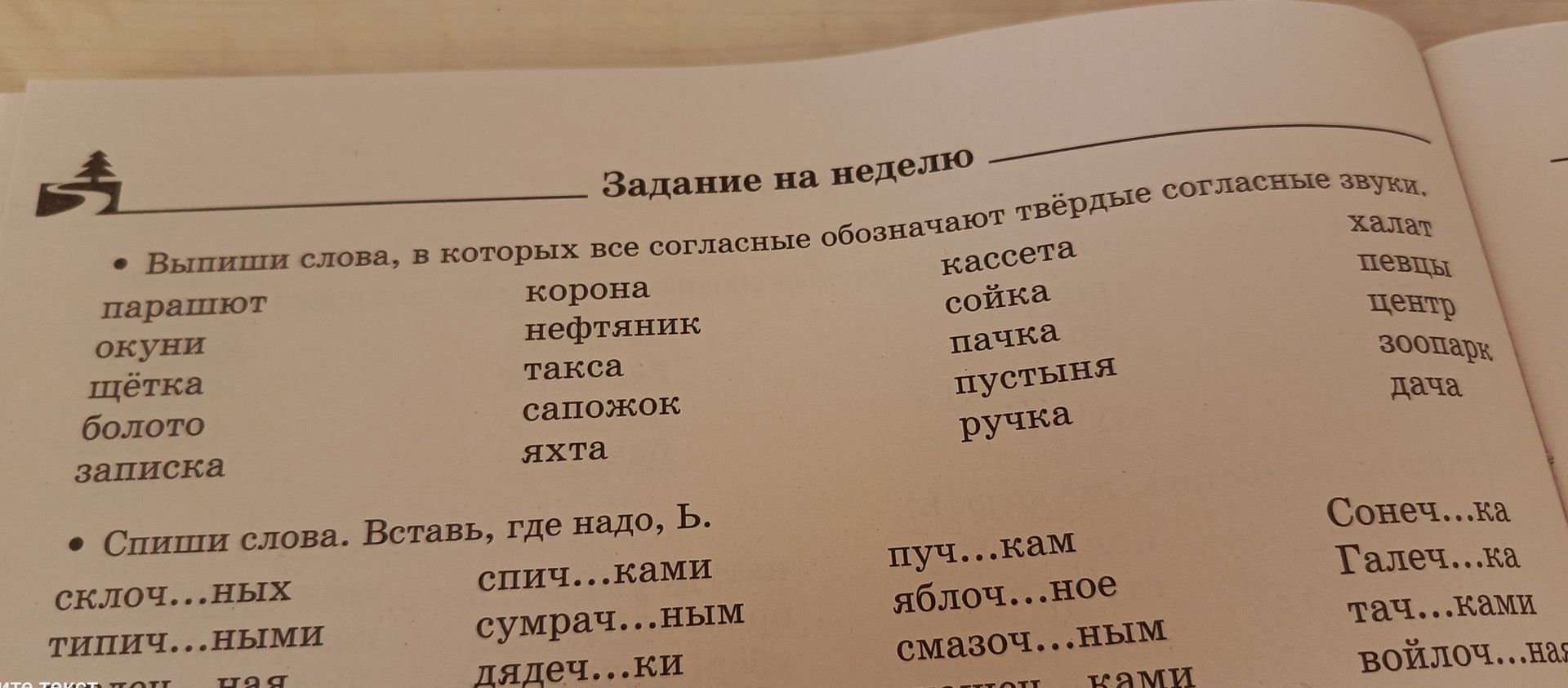 Фото задания: Спиши слова. Вставь, где надо, Ь.