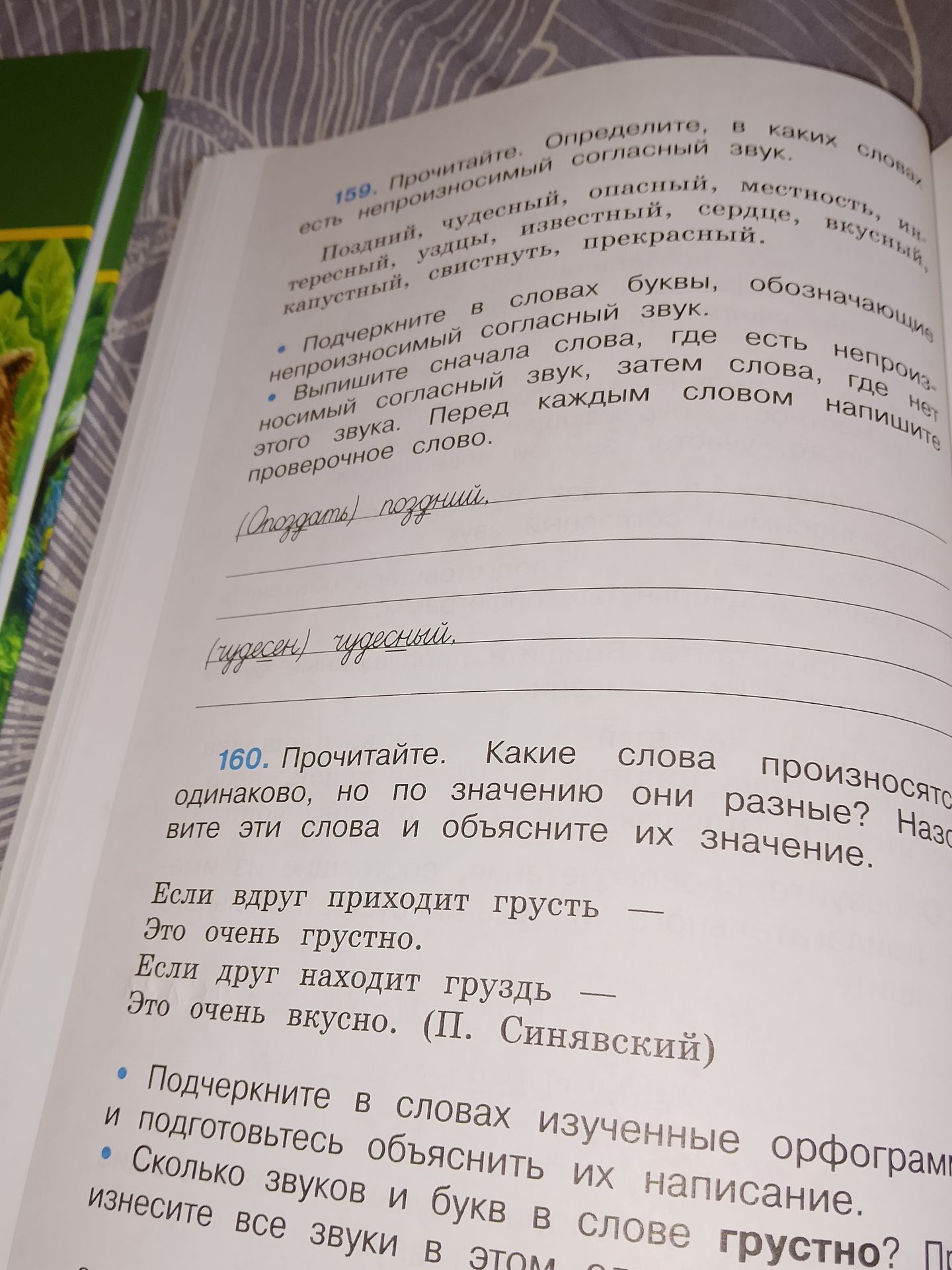 Фото задания: 160. Прочитайте. Какие слова произносятся одинаково, но по значению они разные? Назовите эти слова и объясните их значение.…