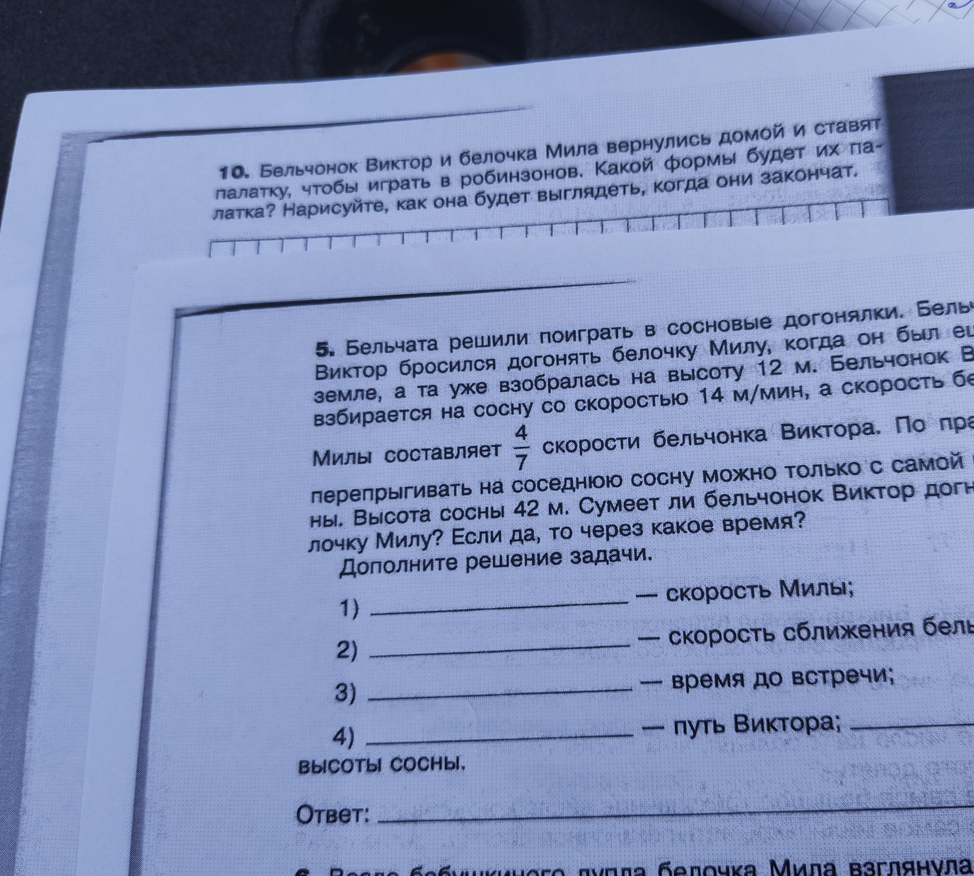 Фото задания: 10. Бельчонок Виктор и белочка Мила вернулись домой и ставят палатку, чтобы играть в робинзонов. Какой формы будет их…