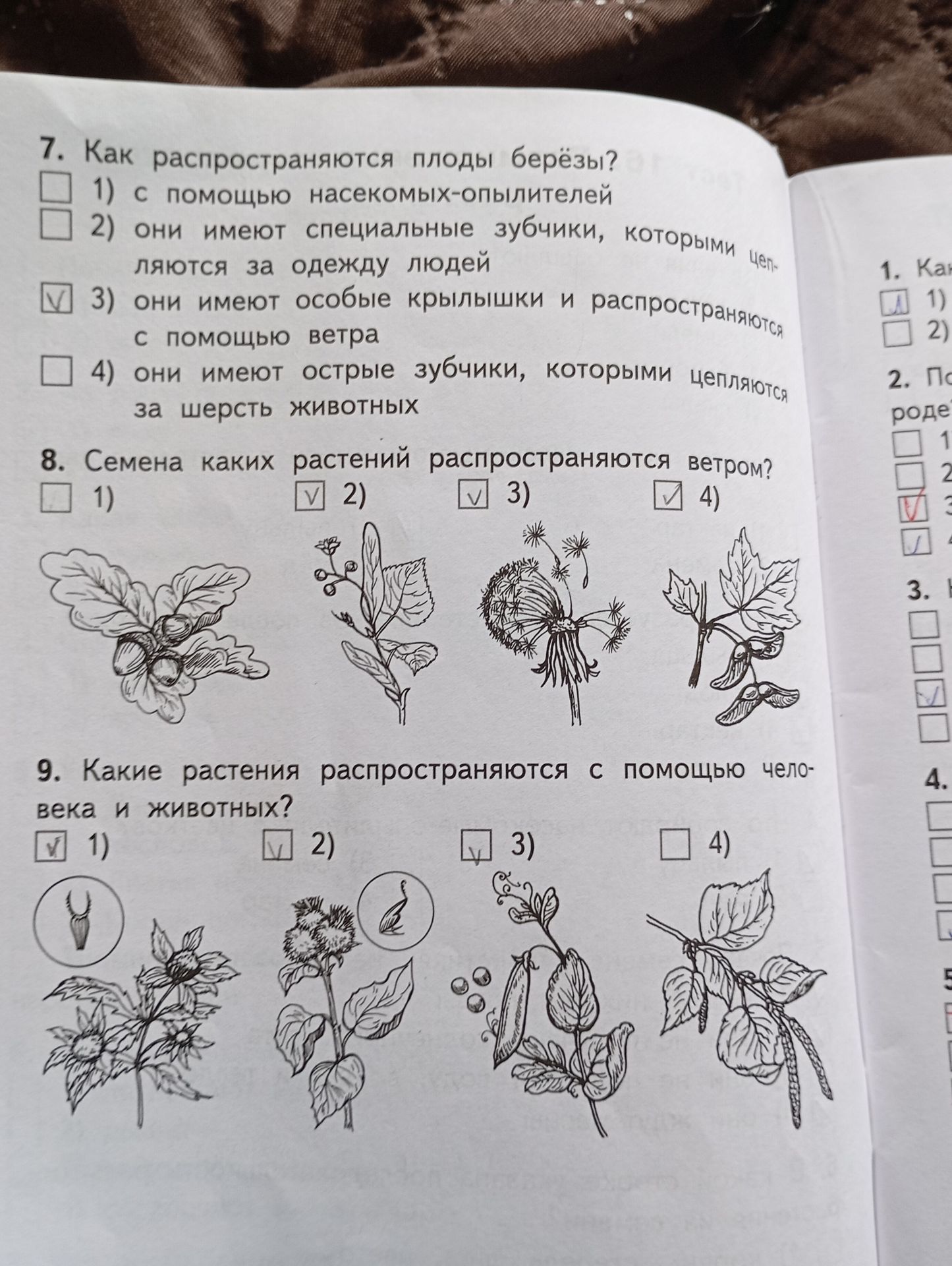 Фото задания: 8. Семена каких растений распространяются ветром? 1) 2) 3) 4)