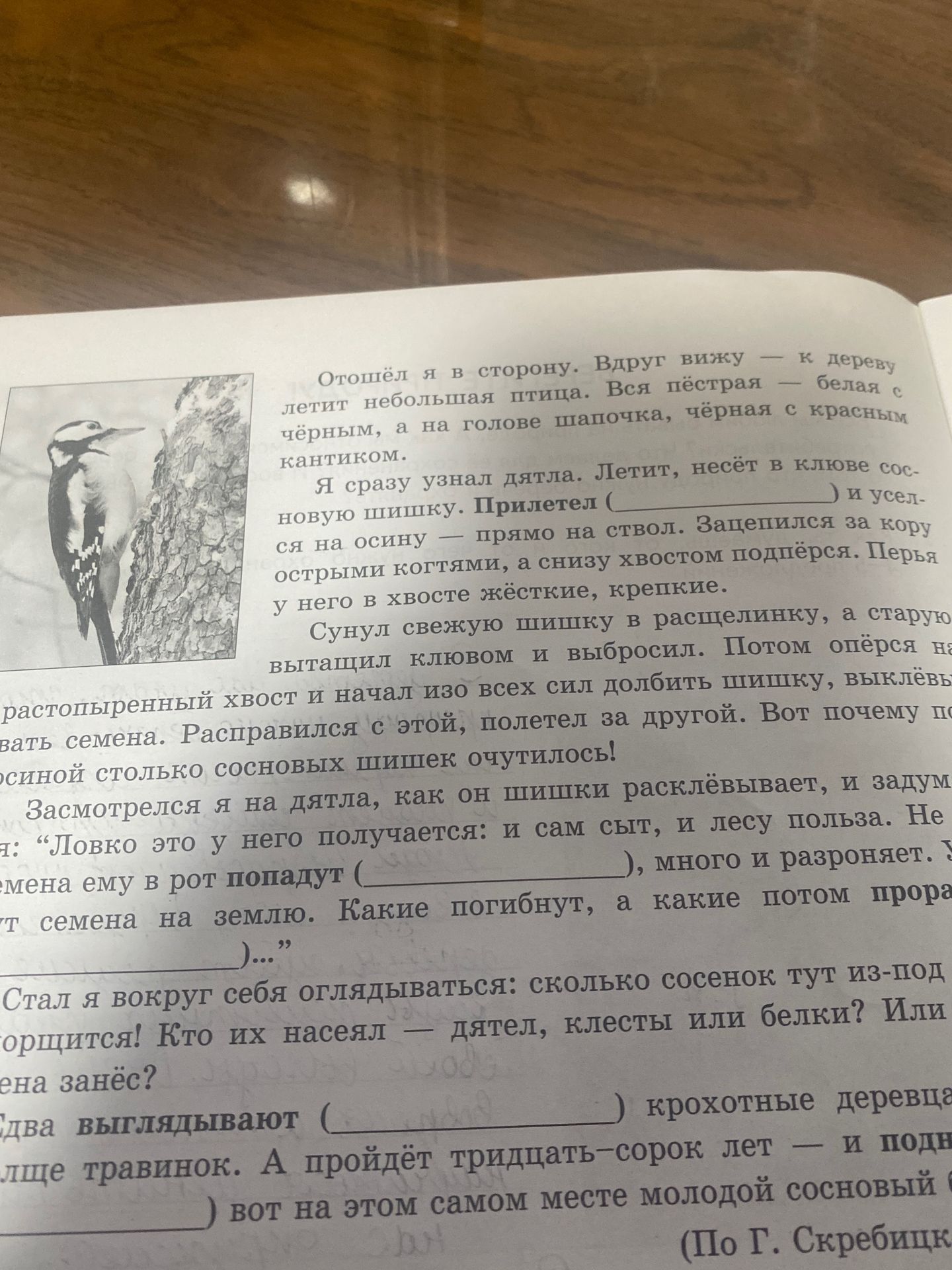 Фото задания: Отошёл я в сторону. Вдруг вижу — к дереву летит небольшая птица. Вся пёстрая — белая с чёрным, а на голове шапочка, чёрная…