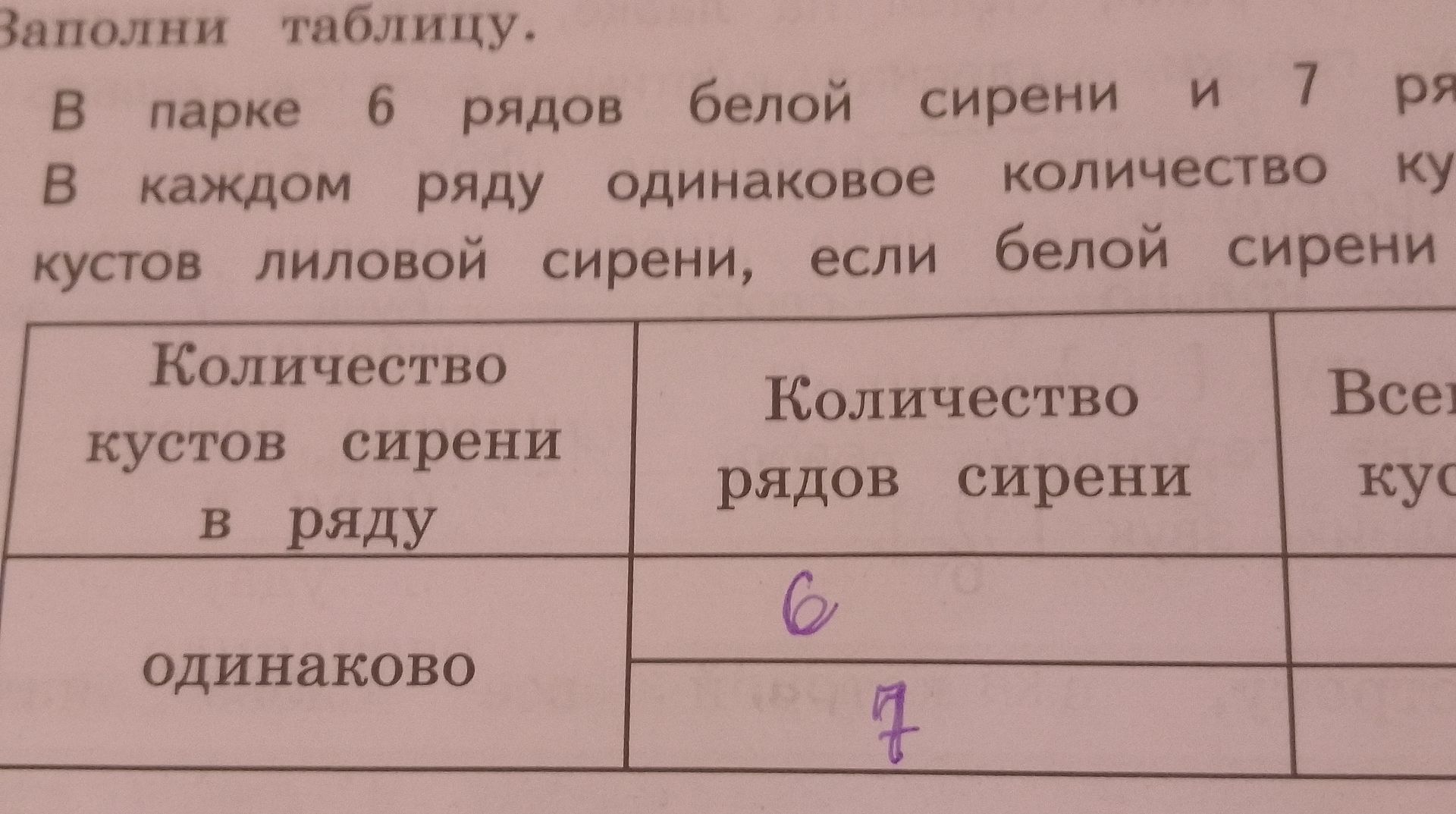 Фото задания: Заполни таблицу. В парке 6 рядов белой сирени и 7 ря В каждом ряду одинаковое количество ку кустов лиловой сирени, если белой…