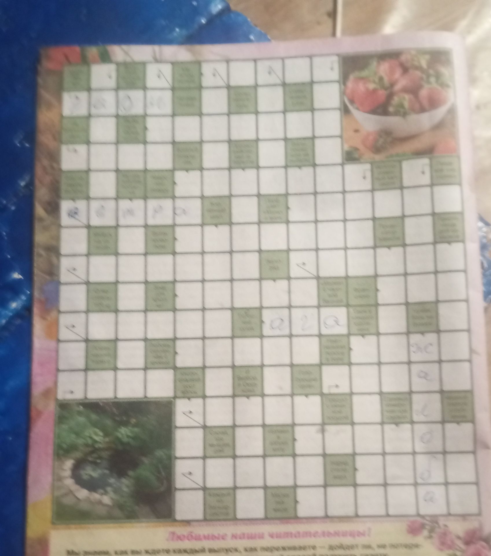 Фото задания: The user has provided an image of a crossword puzzle and wants me to fill in the answers based on the image.