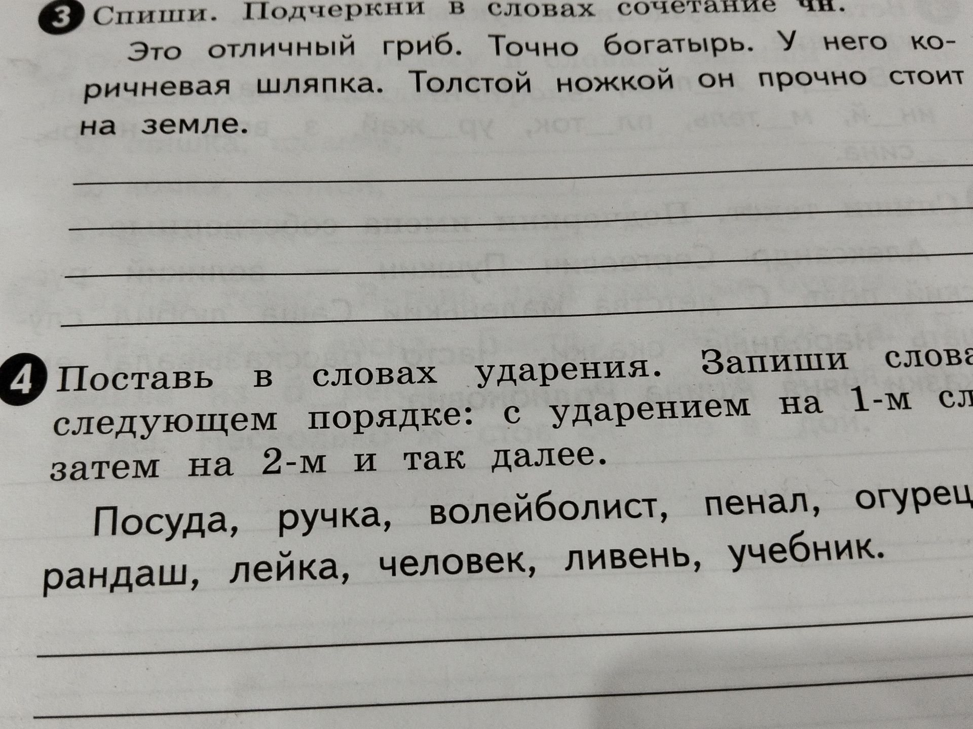 Фото задания: 3 Спиши. Подчеркни в словах сочетание чн. Это отличный гриб. Точно богатырь. У него коричневая шляпка. Толстой ножкой он…