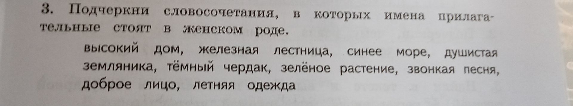 Фото задания: 3. Подчеркни словосочетания, в которых имена прилага-тельные стоят в женском роде. высокий дом, железная лестница, синее…
