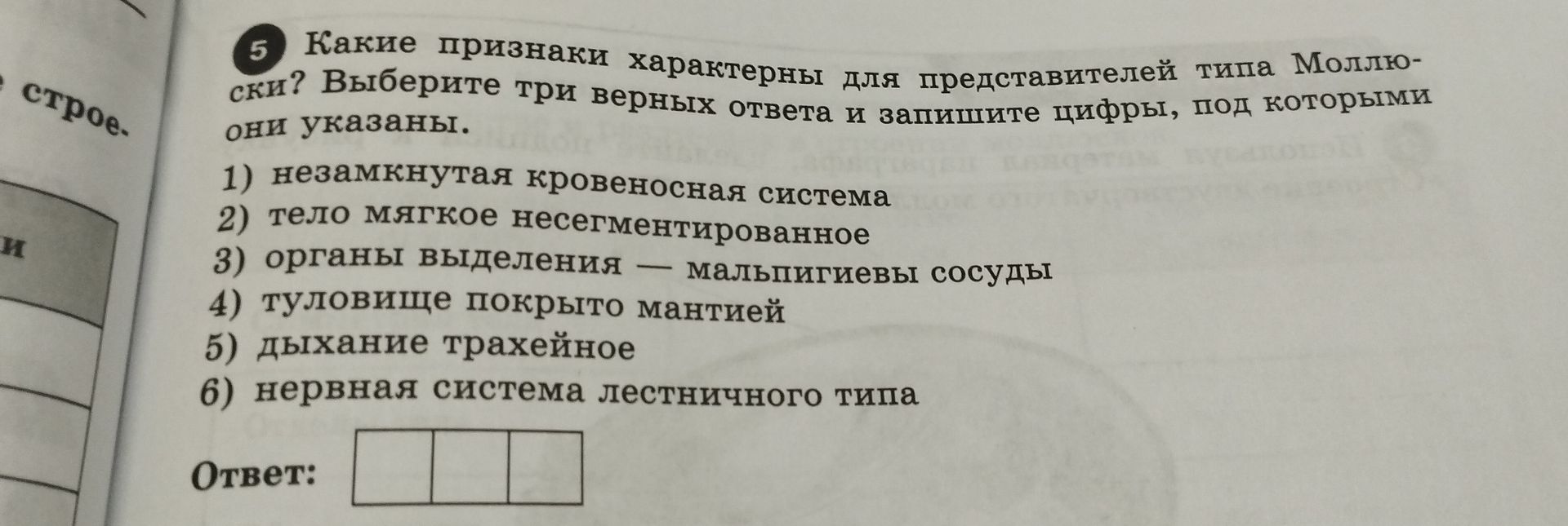Фото задания: Какие признаки характерны для представителей типа Моллюски? Выберите три верных ответа.