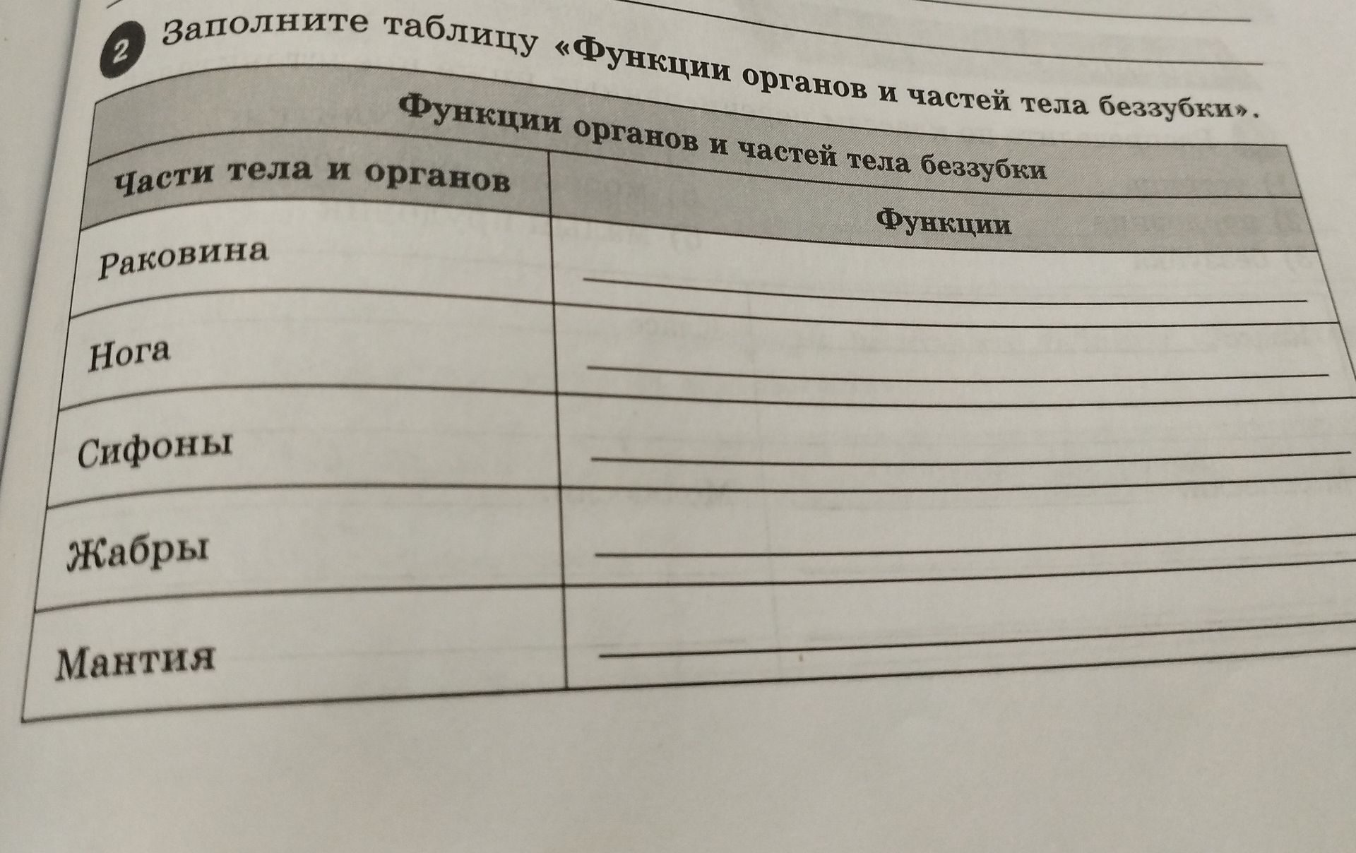 Фото задания: Заполните таблицу «Функции органов и частей тела беззубки».