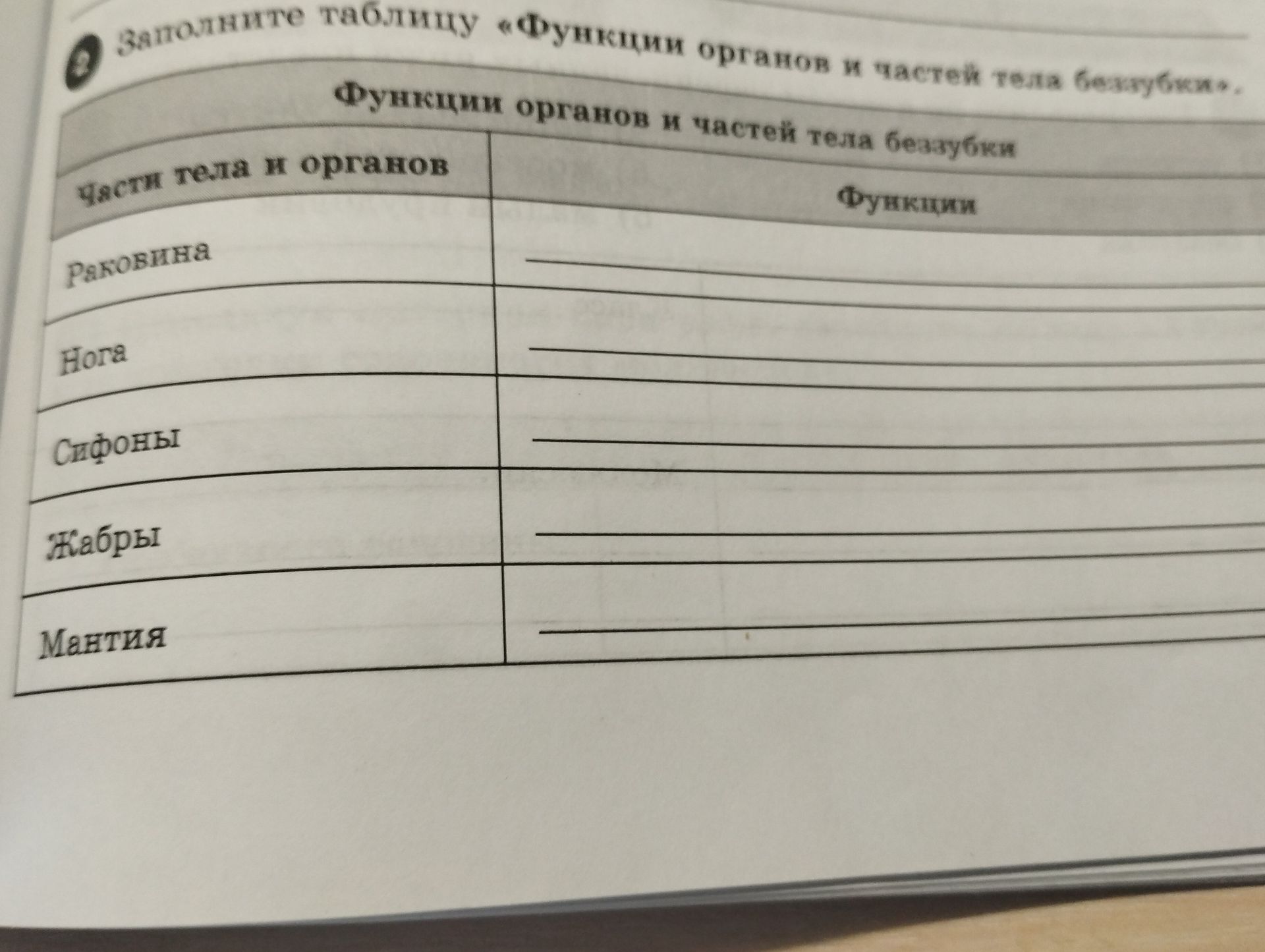 Фото задания: Заполните таблицу «Функции органов и частей тела беззубки»: раковина, нога, сифоны, жабры, мантия.