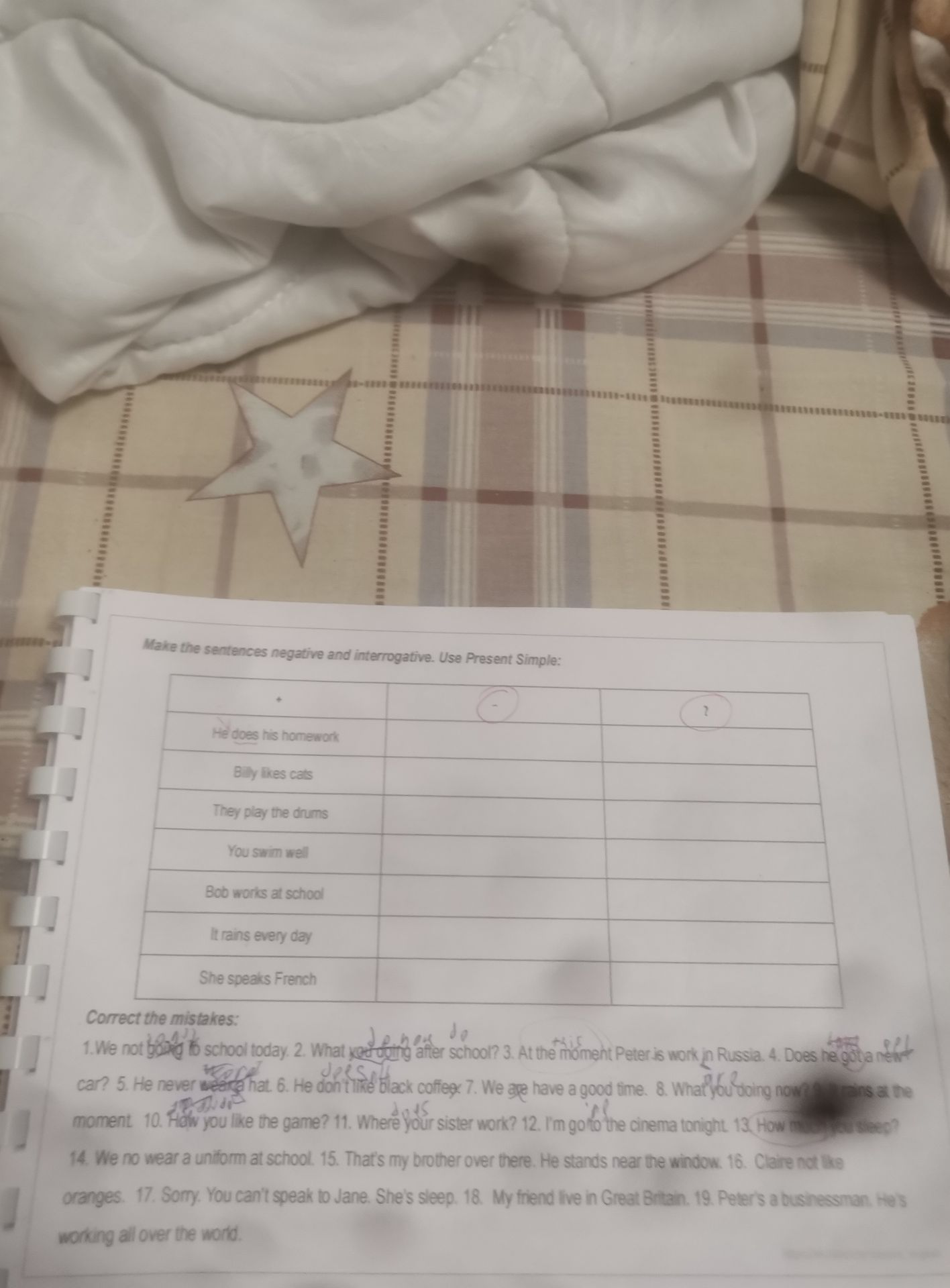 Фото задания: Correct the mistakes in sentences 1–19.