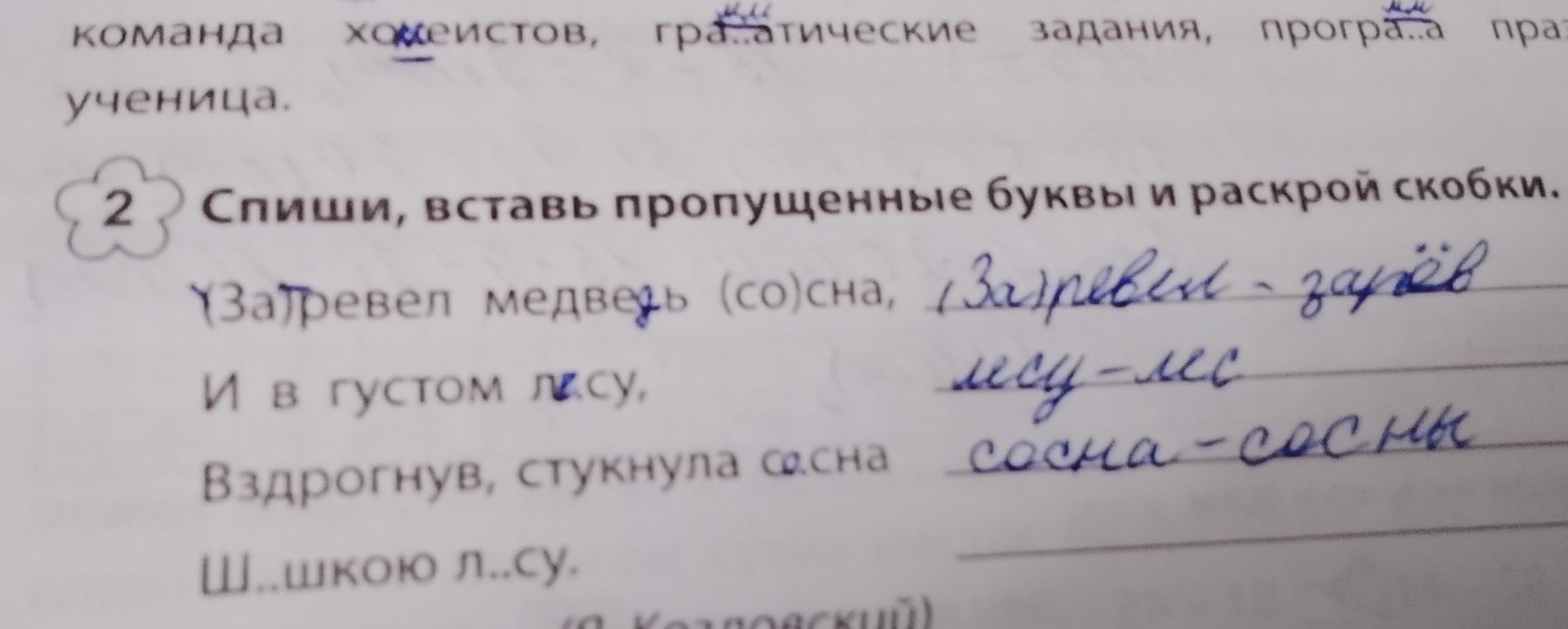 Фото задания: Спиши, вставь пропущенные буквы и раскрой скобки: У(з/с)тревел медведь (со)сна, и в густом л(е/и)су, вздрогнув, стукнула…