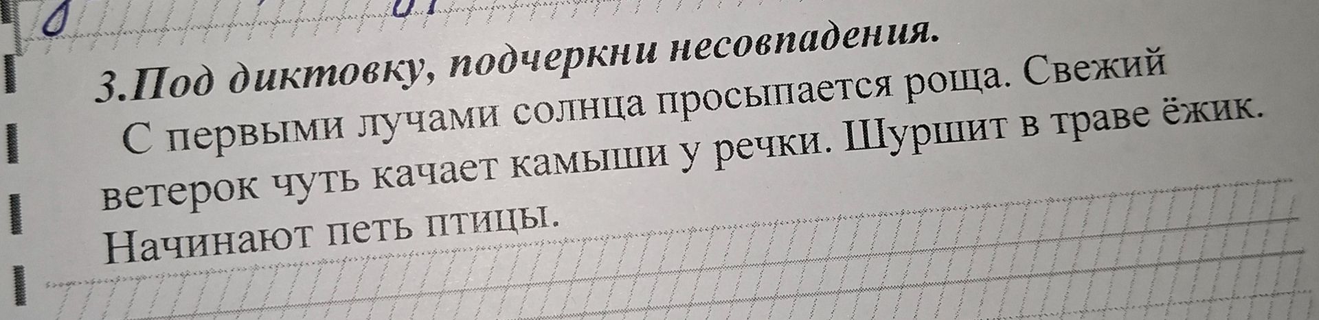 Фото задания: Под диктовку, подчеркни несоответствия. С первыми лучами солнца просыпается роща. Свежий ветерок чуть качает камыши у…