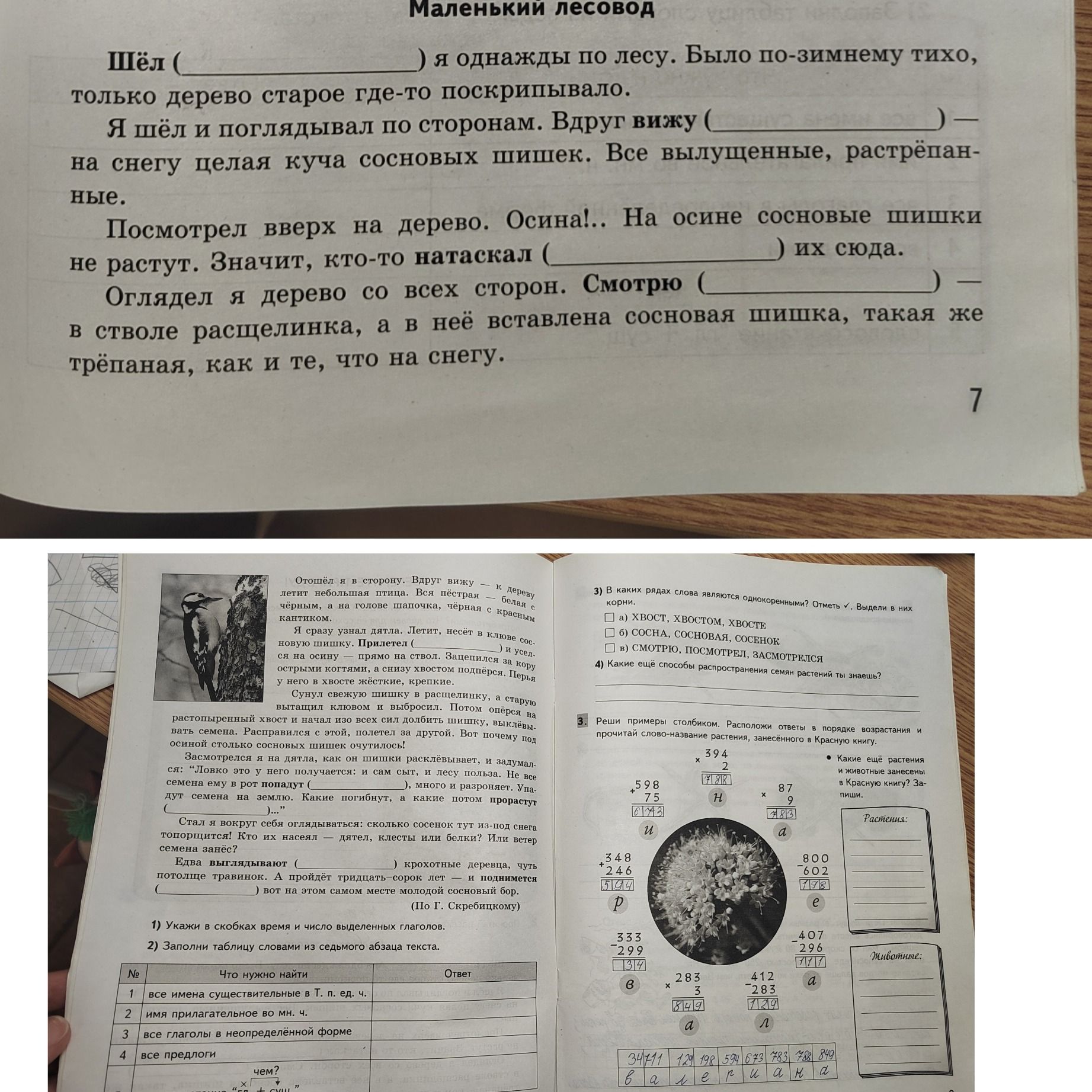 Фото задания: Вставить пропущенные глаголы в тексте «Маленький лесовод».