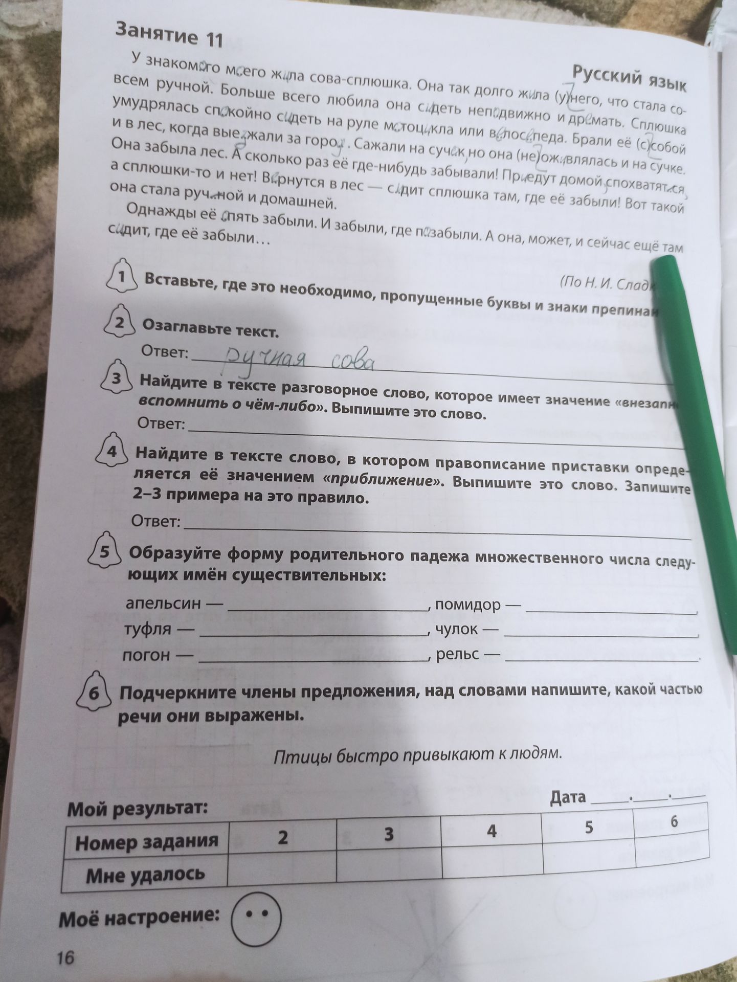 Фото задания: 5. Образуйте форму родительного падежа множественного числа: апельсин, помидор, туфля, чулок, погон, рельс.