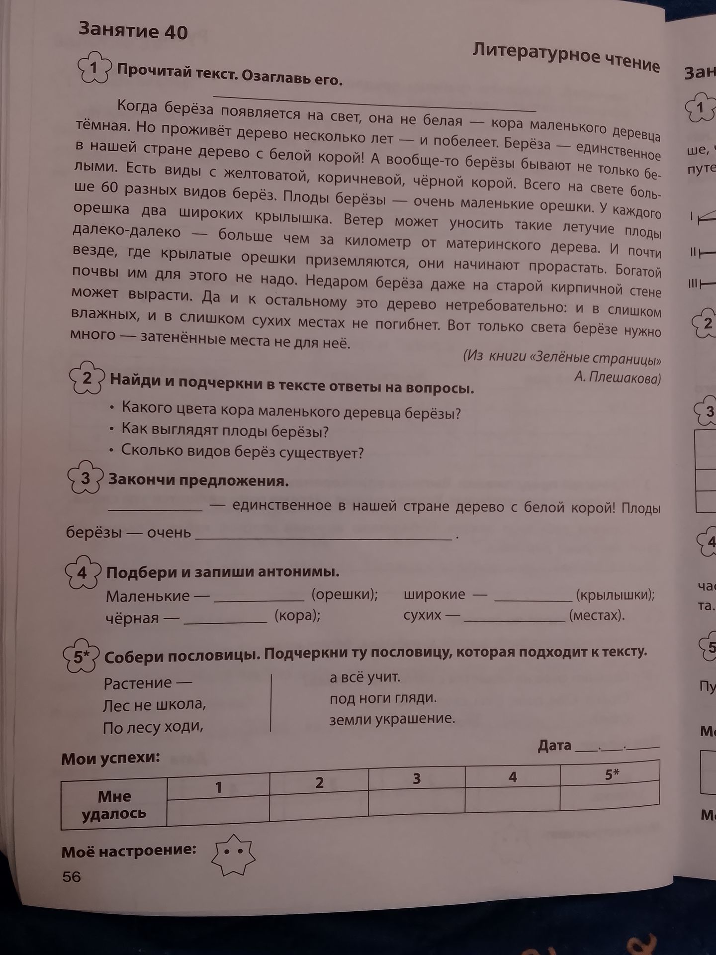 Фото задания: 2. Как выглядят плоды берёзы?