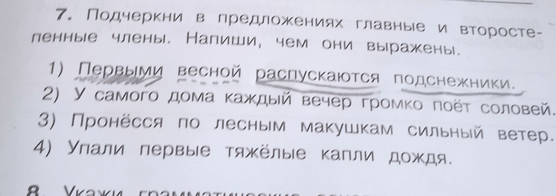 Фото задания: 7. Подчеркни в предложениях главные и второстепенные члены. Напиши, чем они выражены. 1) Первыми весной распускаются…