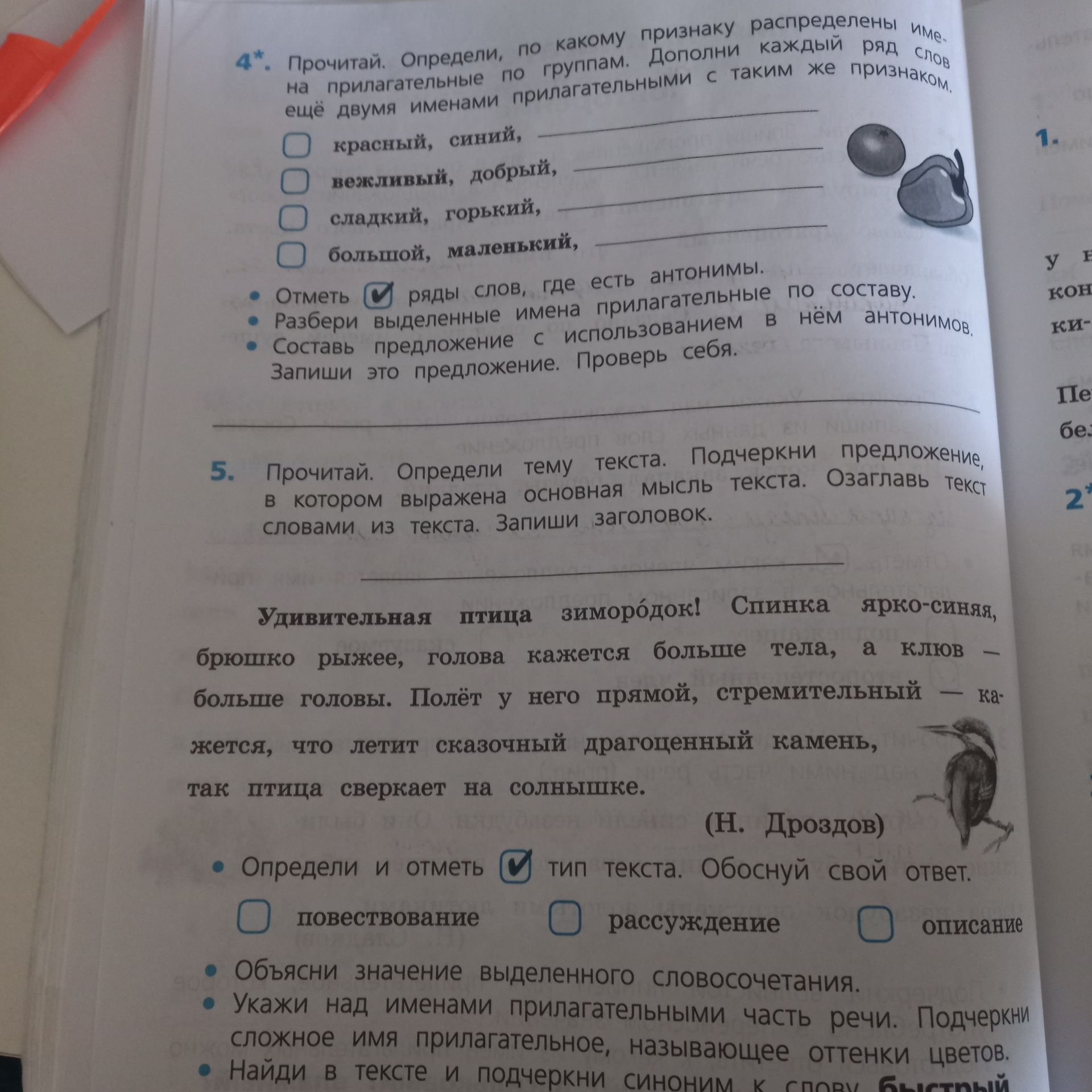 Фото задания: Прочитай текст о зимородке. Определи тему текста. Подчеркни предложение, в котором выражена основная мысль текста. Озаглавь…