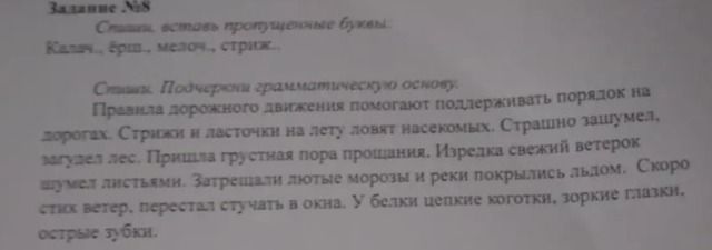 Фото задания: Задание №8. Спишите, вставляя пропущенные буквы. Какие буквы проверяются? Катя…, брош…, месяц…, стриж…. Спишите.…
