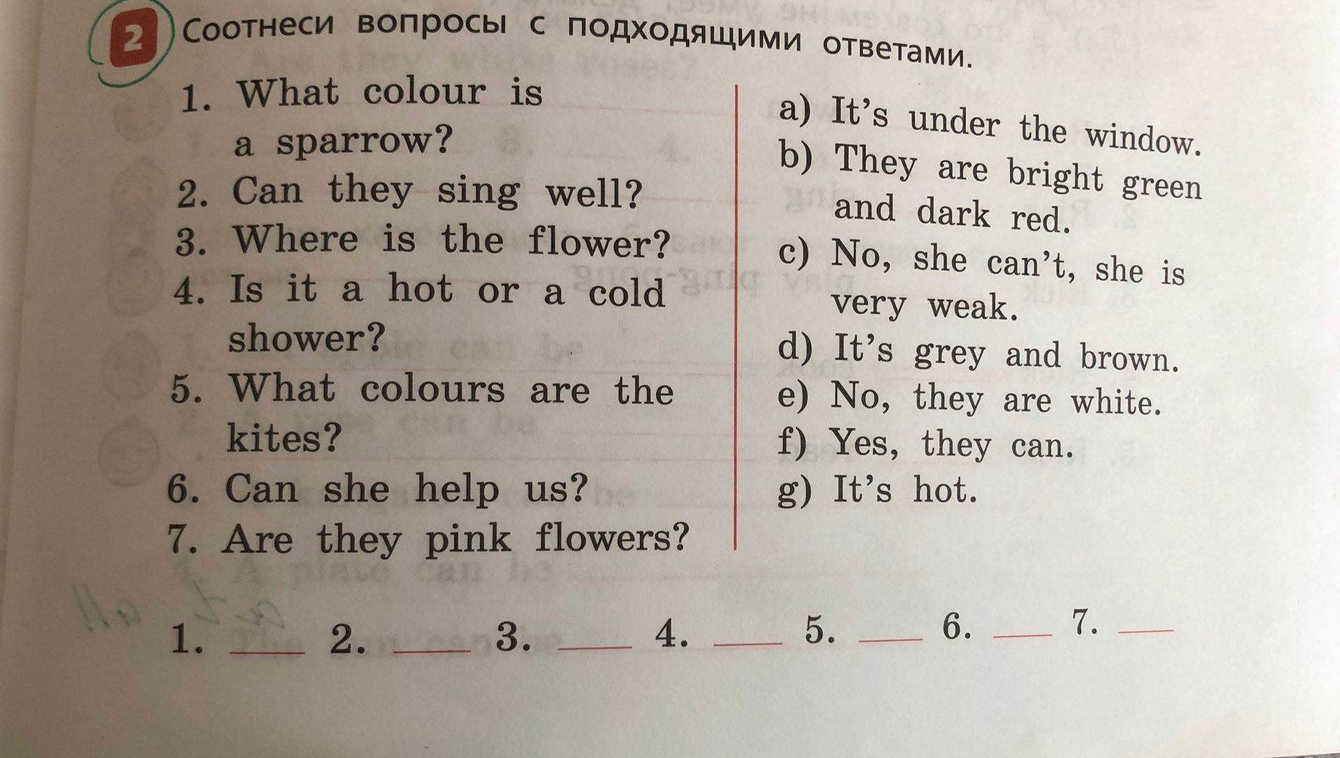 Фото задания: Match the questions with the suitable answers.