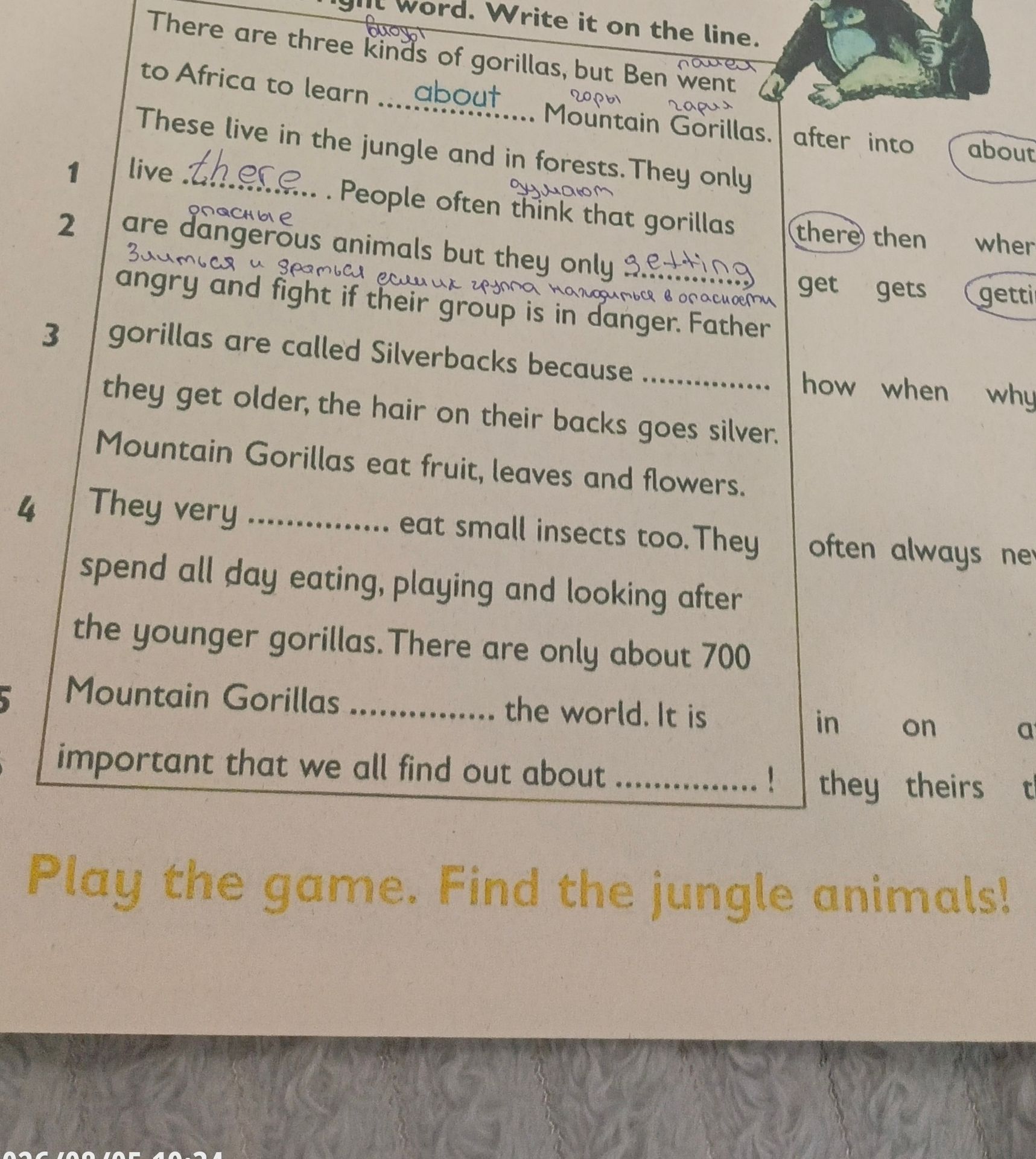 Фото задания: Fill in the blanks in the text about mountain gorillas.