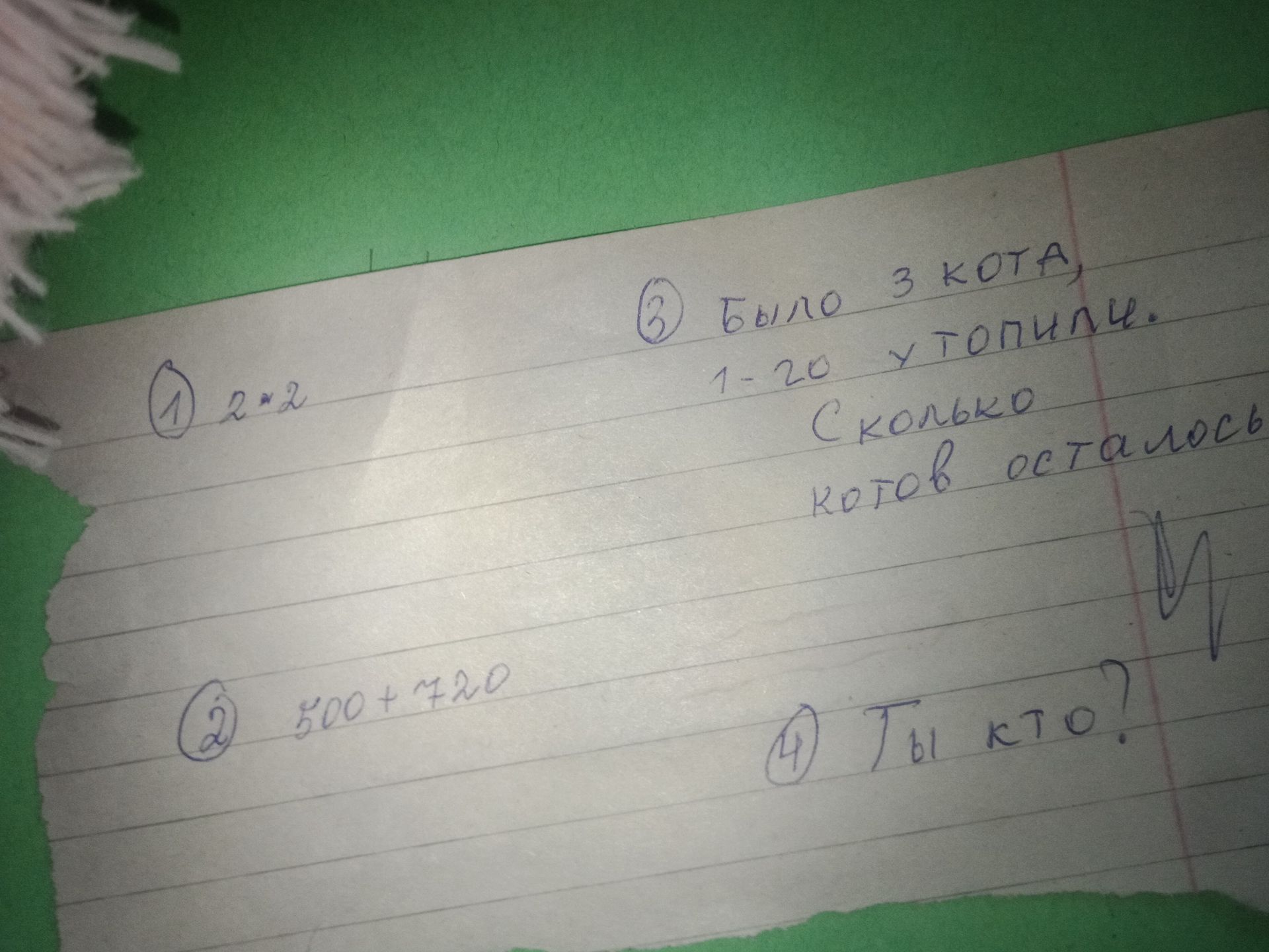 Фото задания: 1) 2 ⋅ 2; 2) 500 + 720; 3) Было 3 кота, 1 кот убежал. Сколько котов осталось? 4) Ты кто?