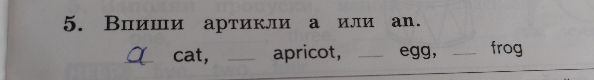 Фото задания: Впиши артикли a или an: ___ cat, ___ apricot, ___ egg, ___ frog.