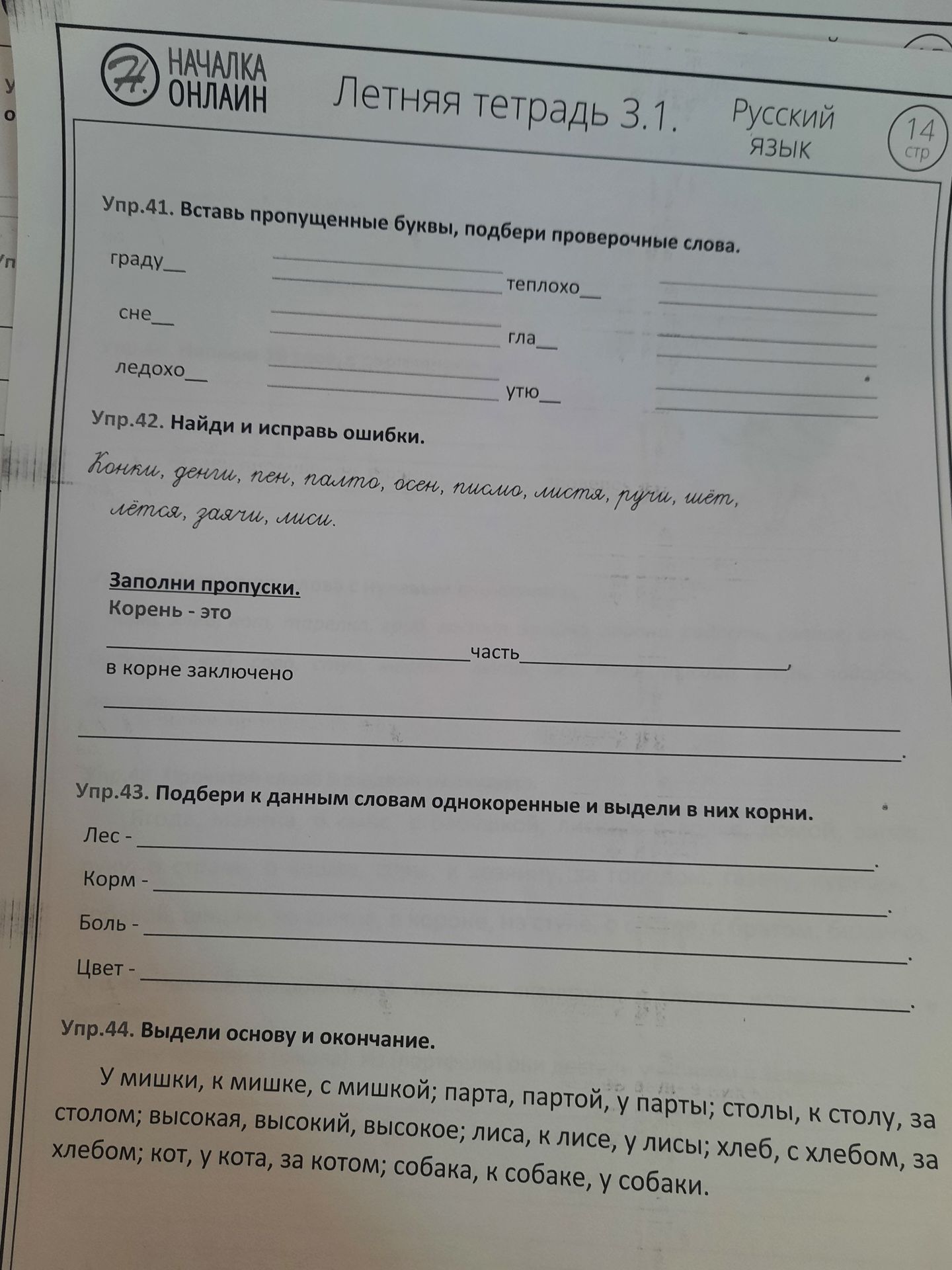 Фото задания: Упр. 41. Вставь пропущенные буквы, подбери проверочные слова: граду__; сне__; ледохо__; теплохо__; гла__; утю__.