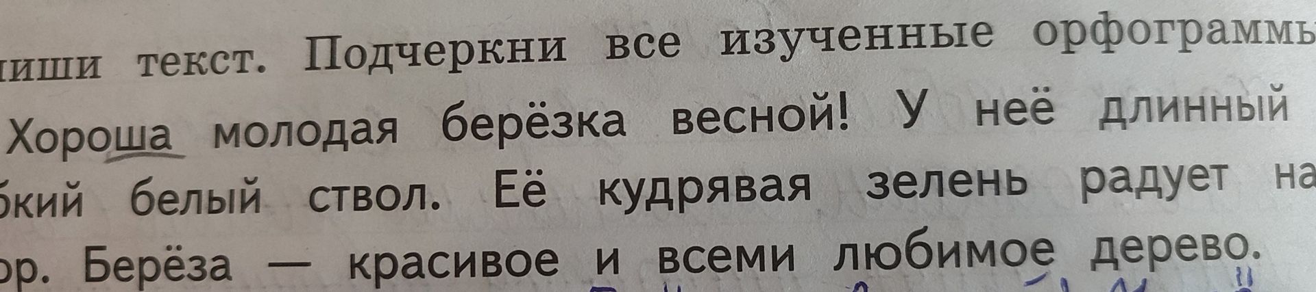 Фото задания: Напиши текст. Подчеркни все изученные орфограммы.