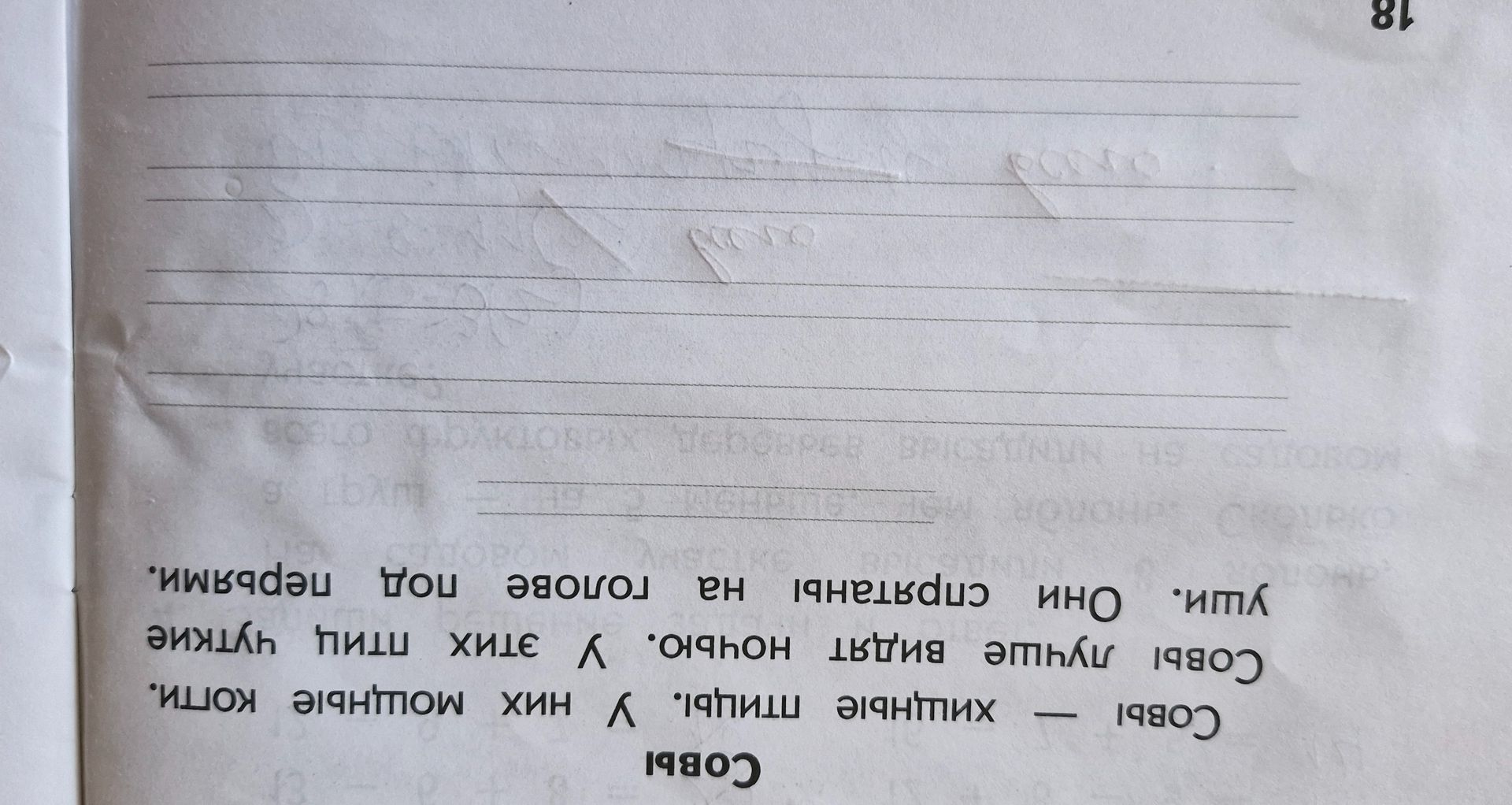 Фото задания: Составь предложения по схемам: 1) Слово — хижина; 2) Слово — луче; 3) Ули. Они сыграли на голове под горами.