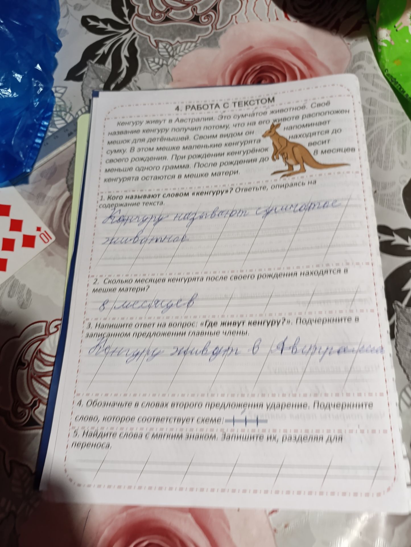 Фото задания: 1. Кого называют словом «кенгуру»? Ответьте, опираясь на содержание текста. 2. Сколько месяцев кенгурята после своего…
