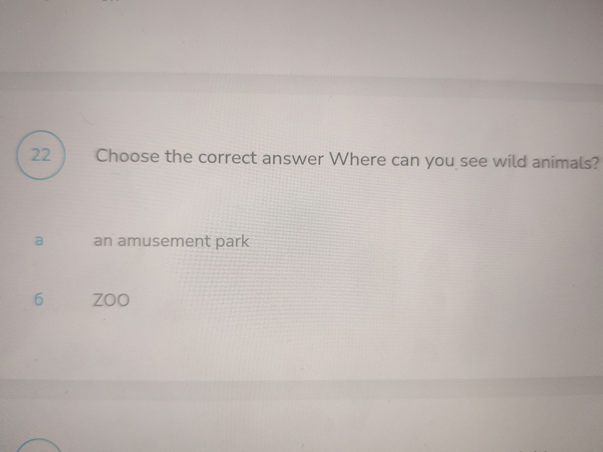 Фото задания: Choose the correct answer: Where can you see wild animals? a) an amusement park; b) zoo