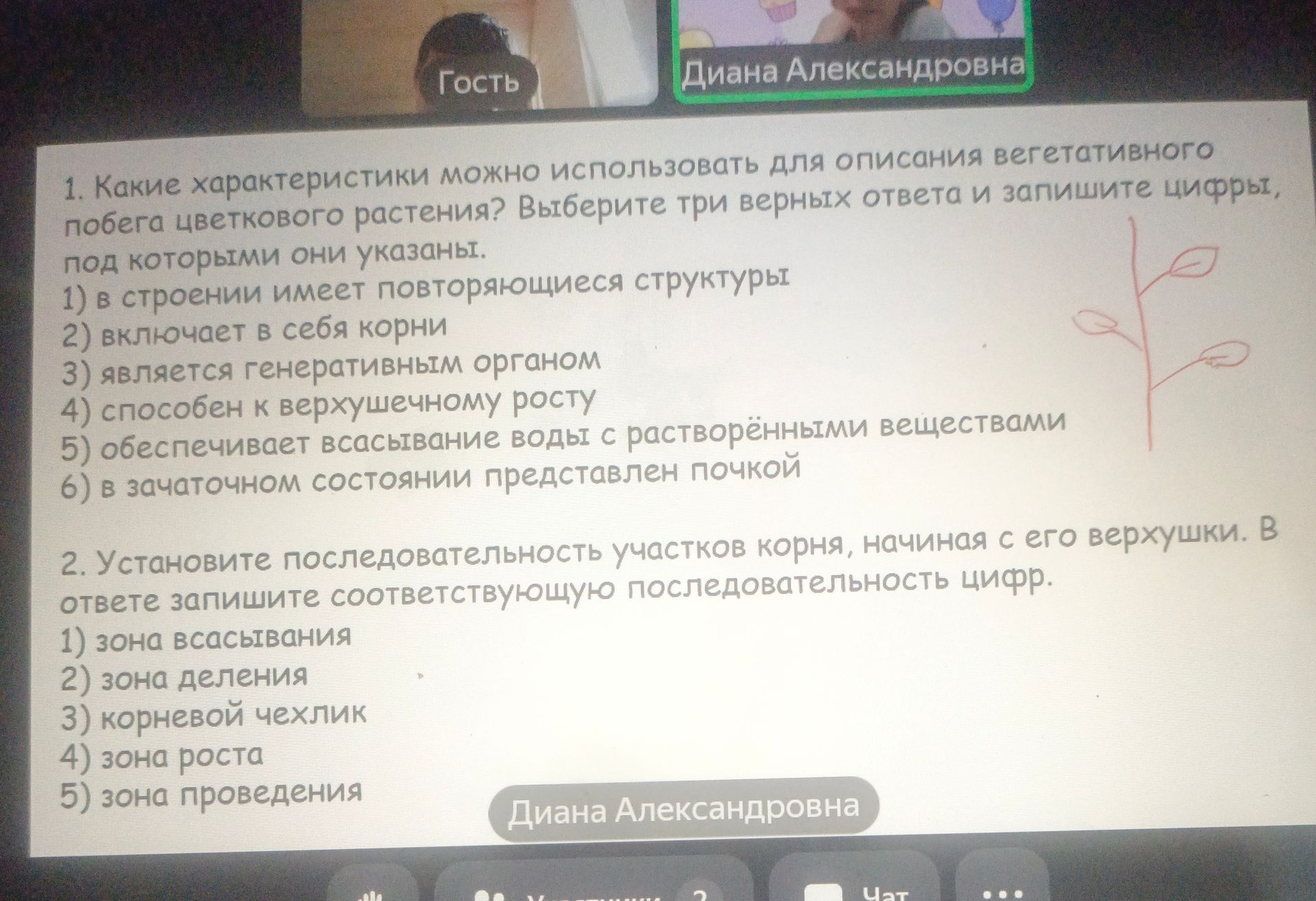 Фото задания: Какие характеристики можно использовать для описания вегетативного побега цветкового растения? Выберите три верных ответа и…