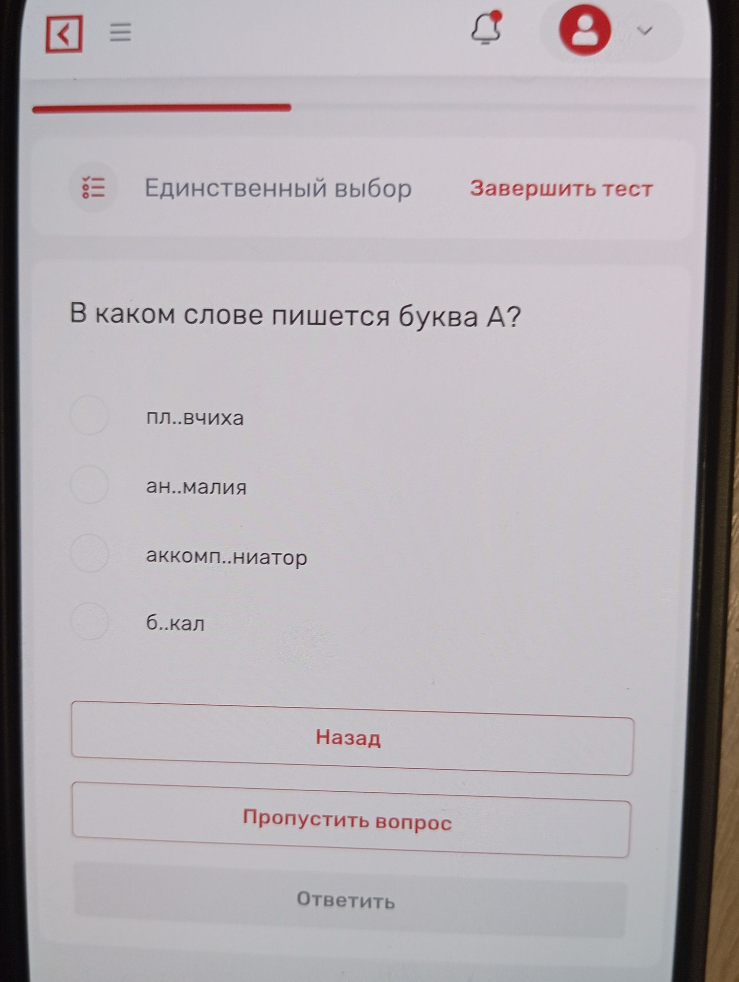 Фото задания: В каком слове пишется буква А? Варианты: пл..вчиха; ан..малия; аккомпл..ниатор; б..кал.