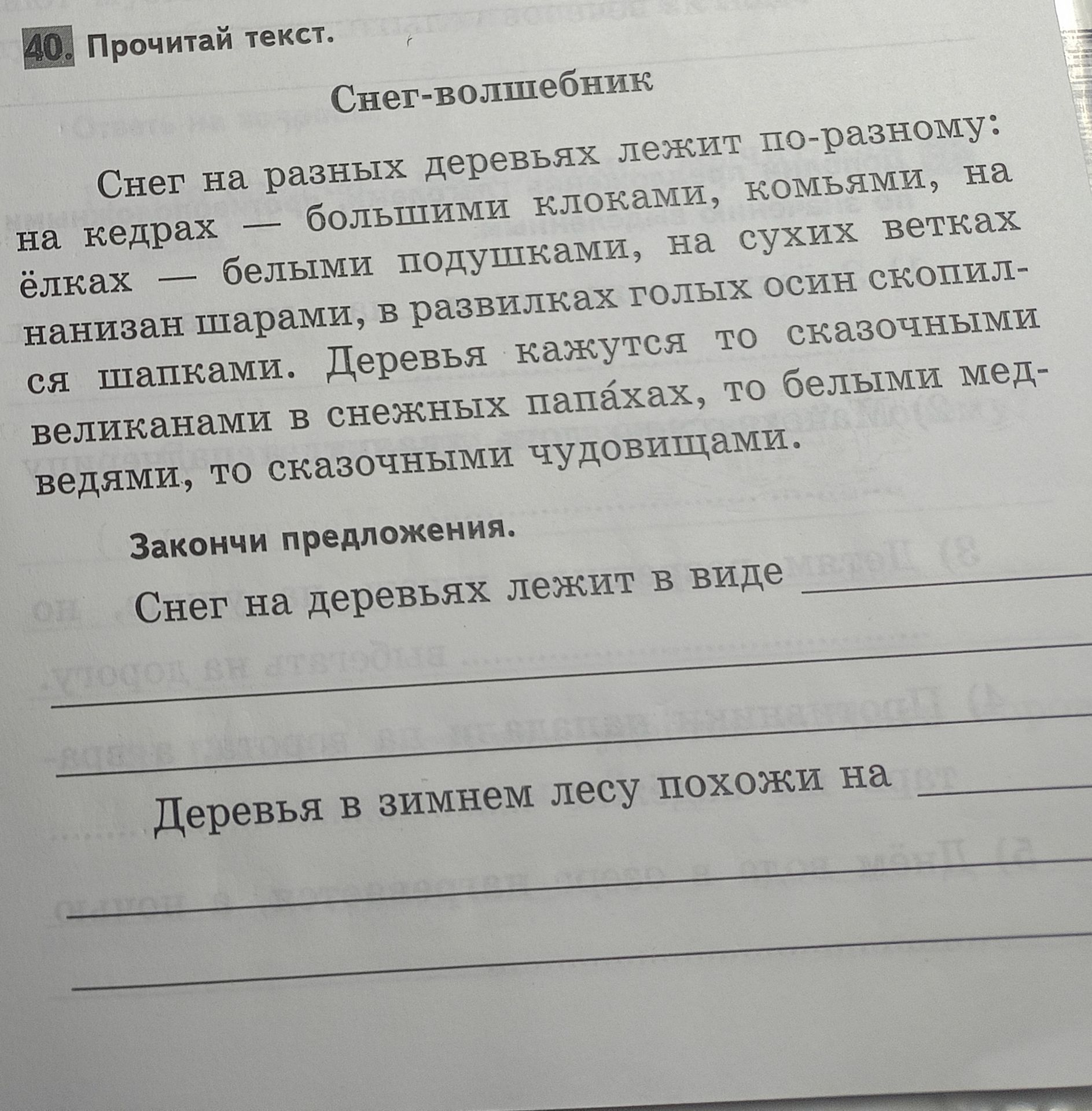 Фото задания: Закончи предложения: 1) Снег на деревьях лежит в виде ... 2) Деревья в зимнем лесу похожи на ...