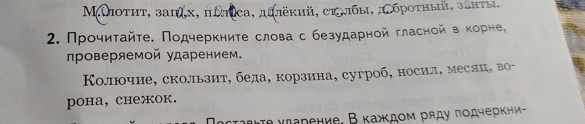 Фото задания: Прочитайте. Подчеркните слова с безударной гласной в корне, проверяемой ударением: колючие, скользит, беда, корзина,…
