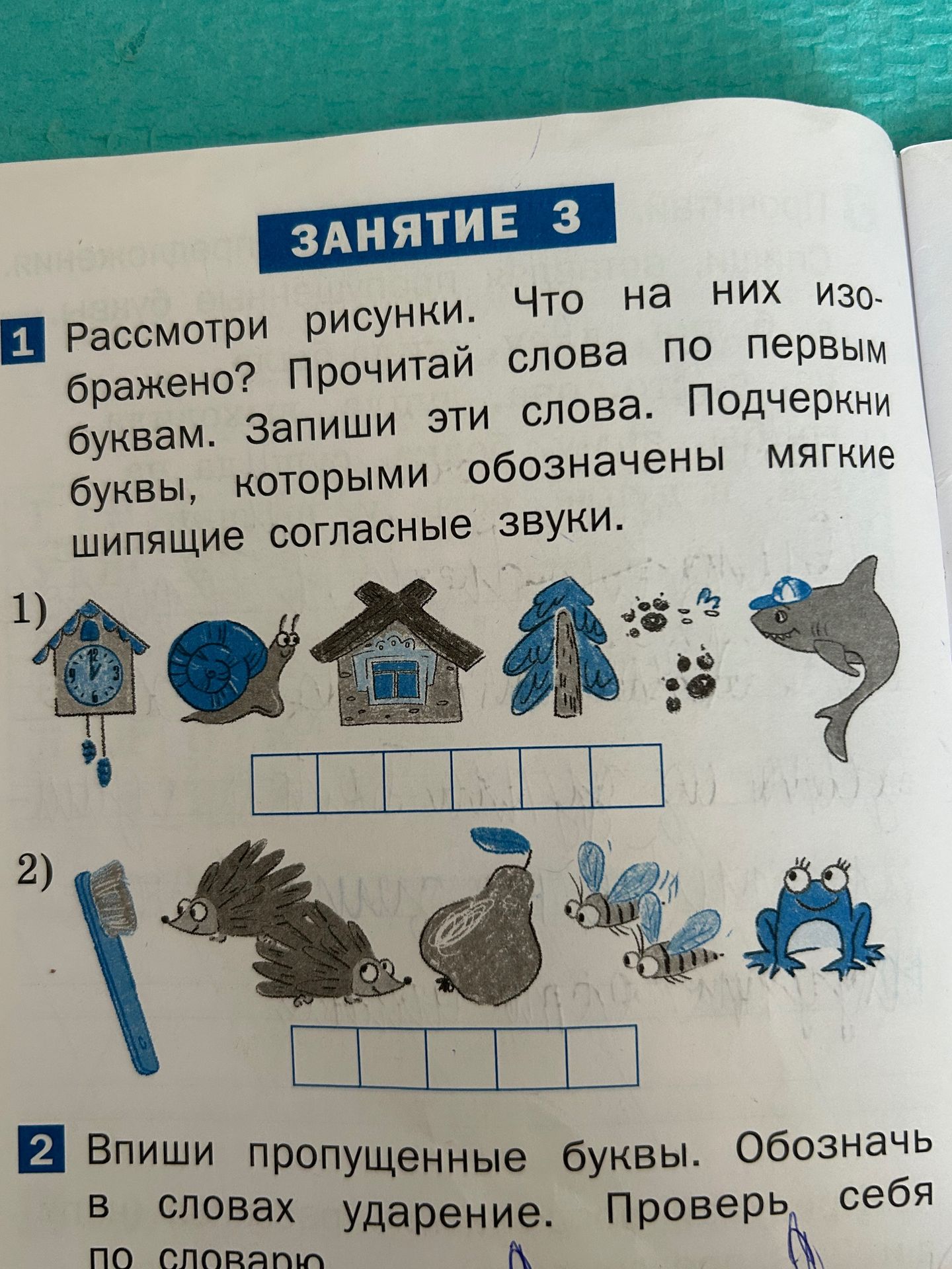 Фото задания: Впиши пропущенные буквы. Обозначь в словах ударение. Проверь себя по словарю.