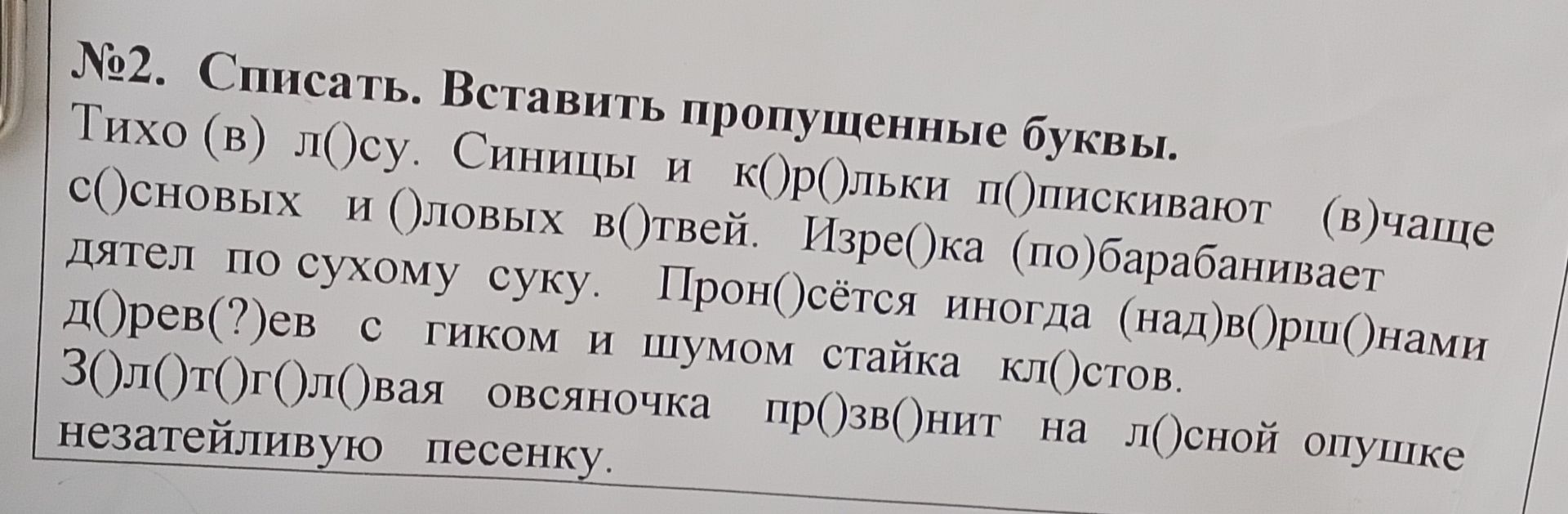 Фото задания: №2. Списать. Вставить пропущенные буквы. Тихо (в) л..су. Синицы и к..р..льки п..дискивают (в) чаще с..сновых и (о)ловых…